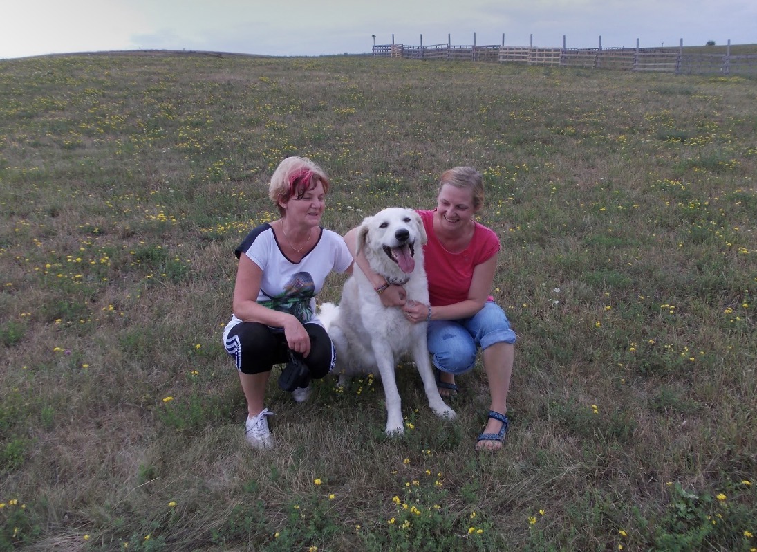 image-6