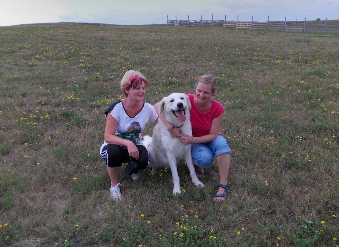 image-6