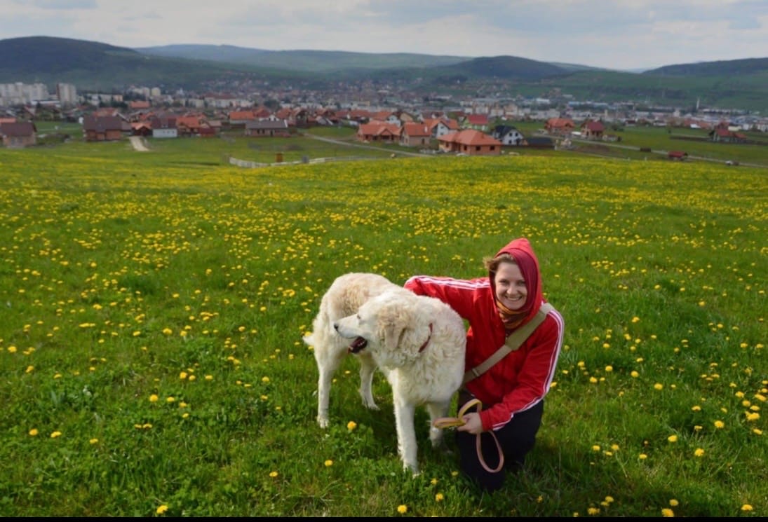 image-0