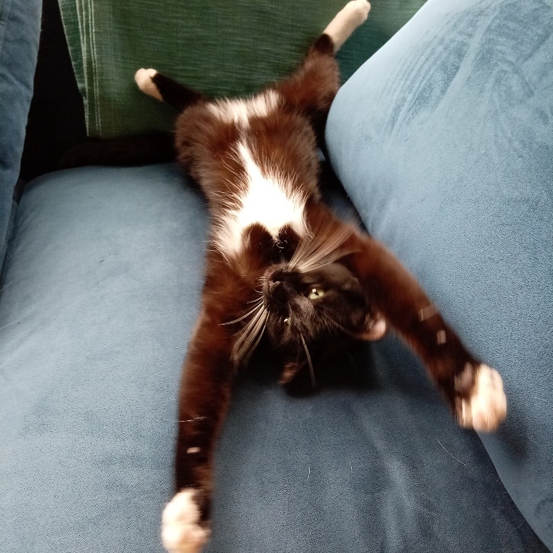 Claire