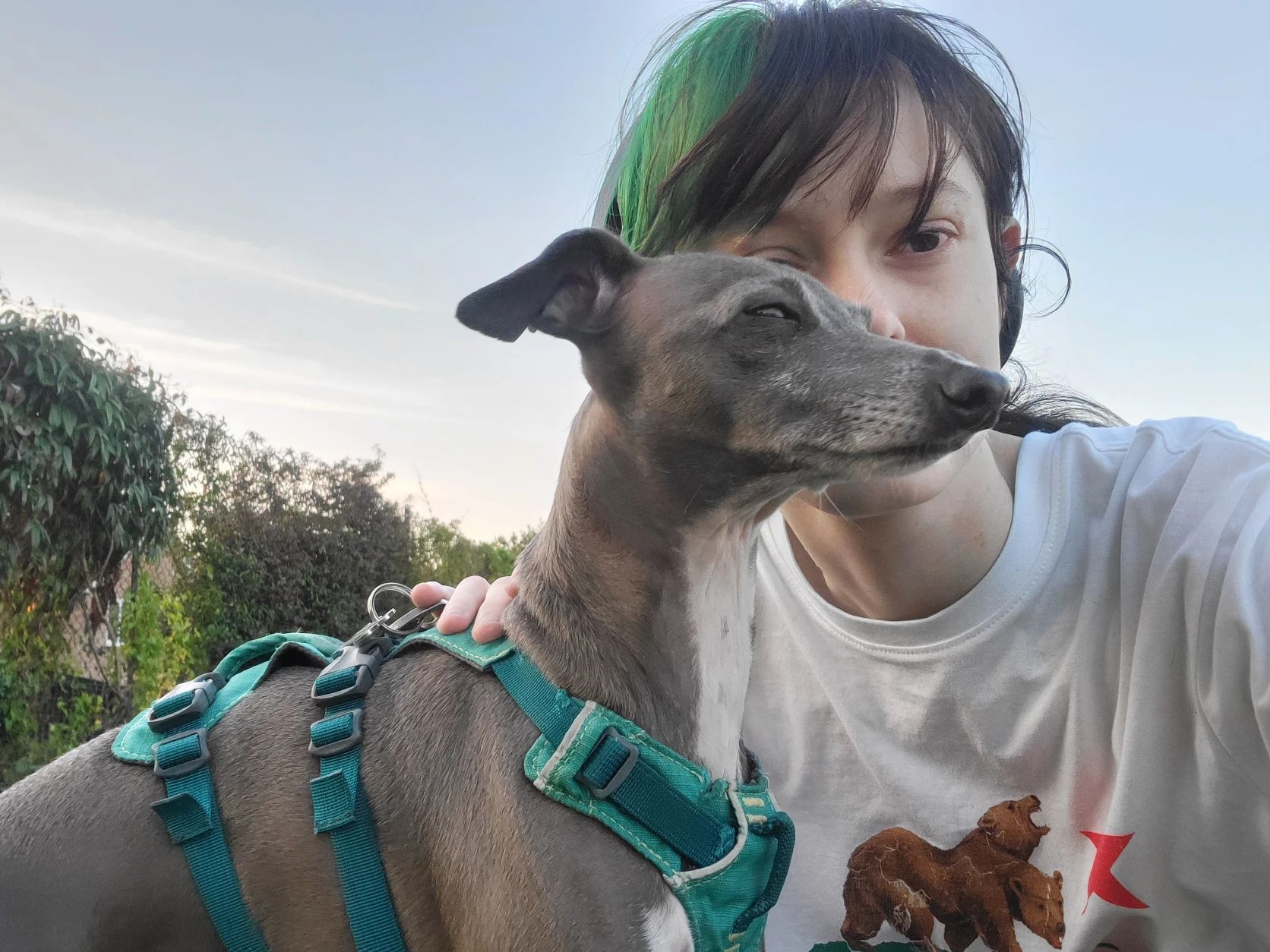 image-2