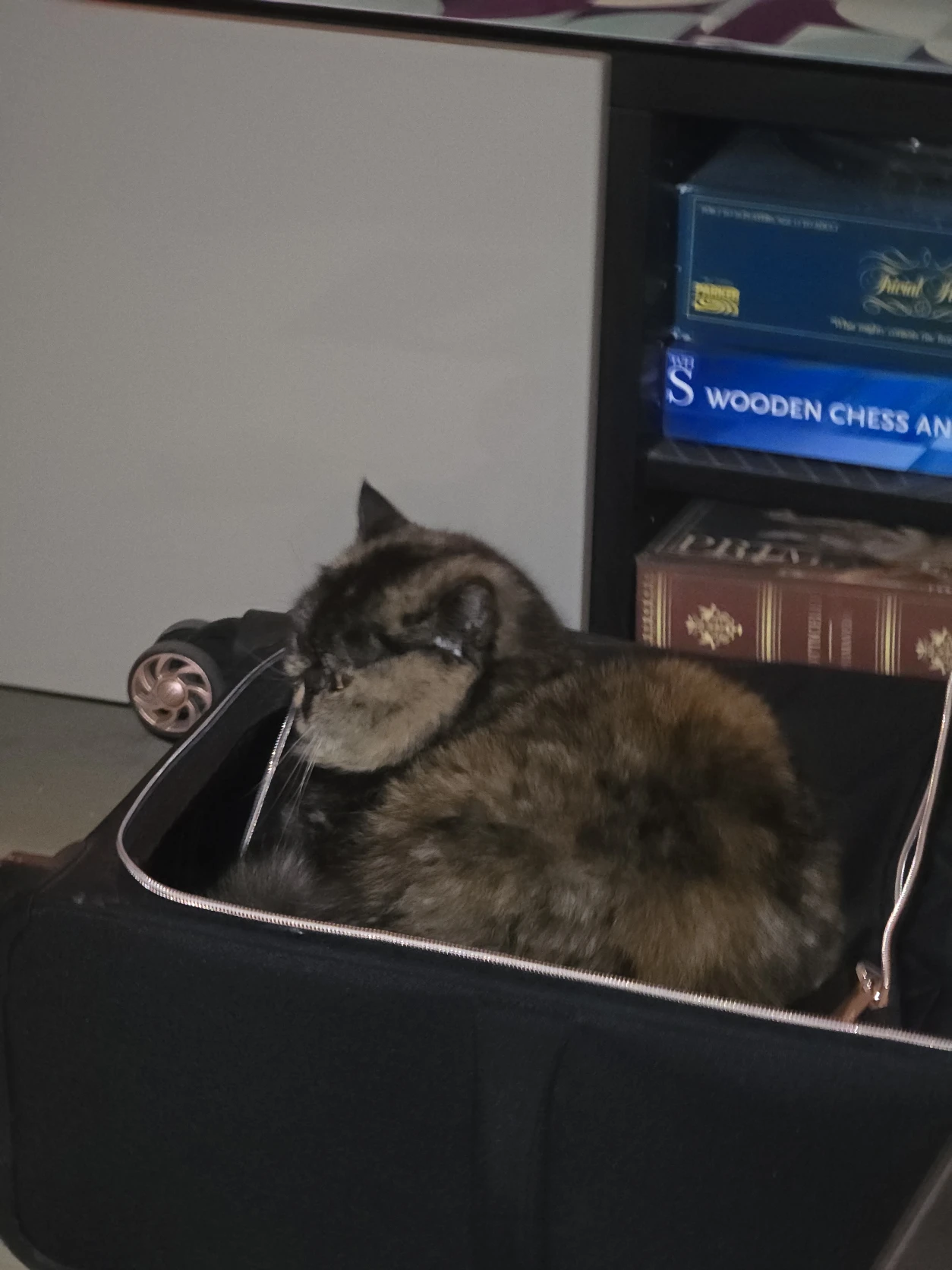 image-9