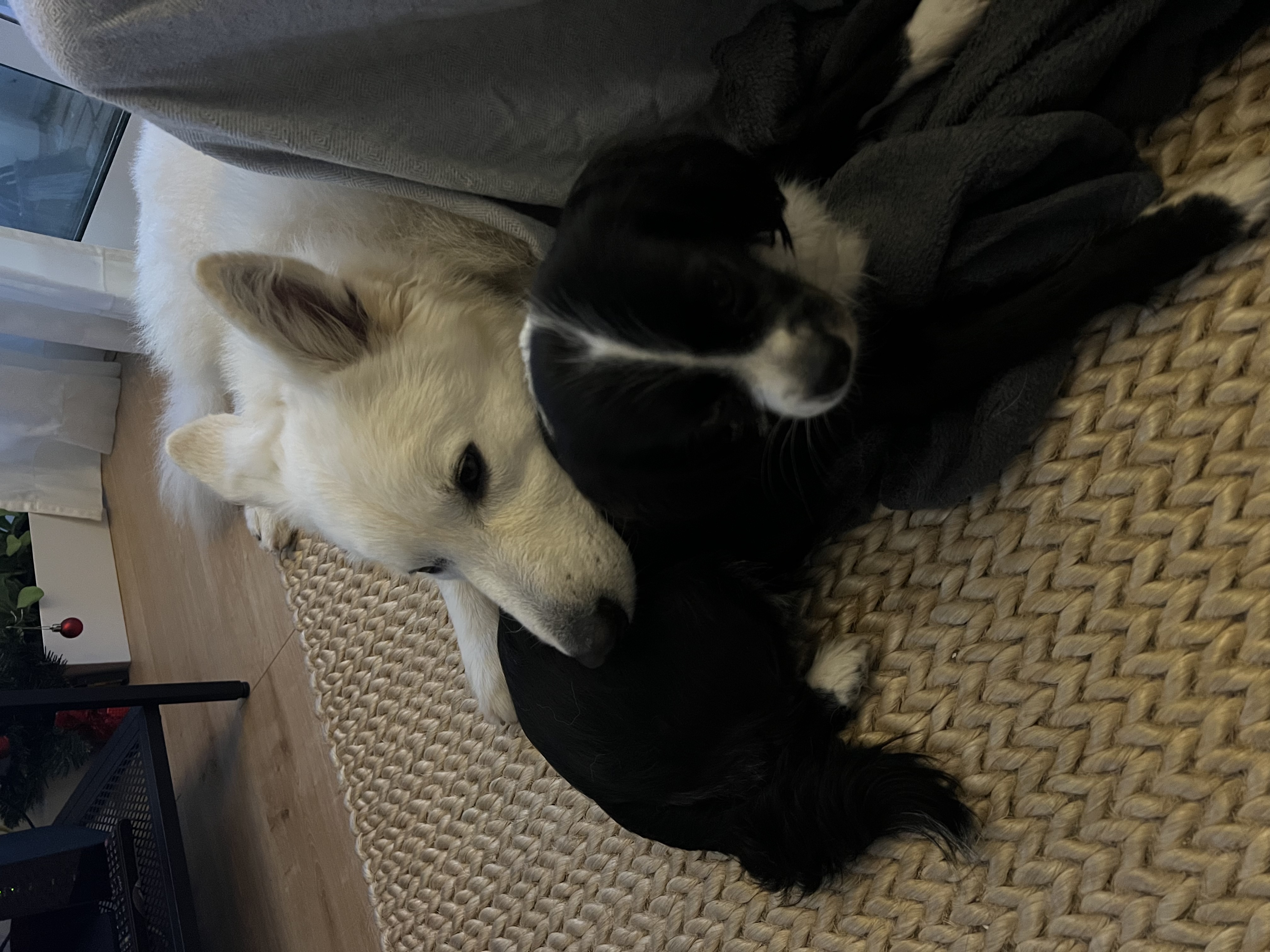 image-12