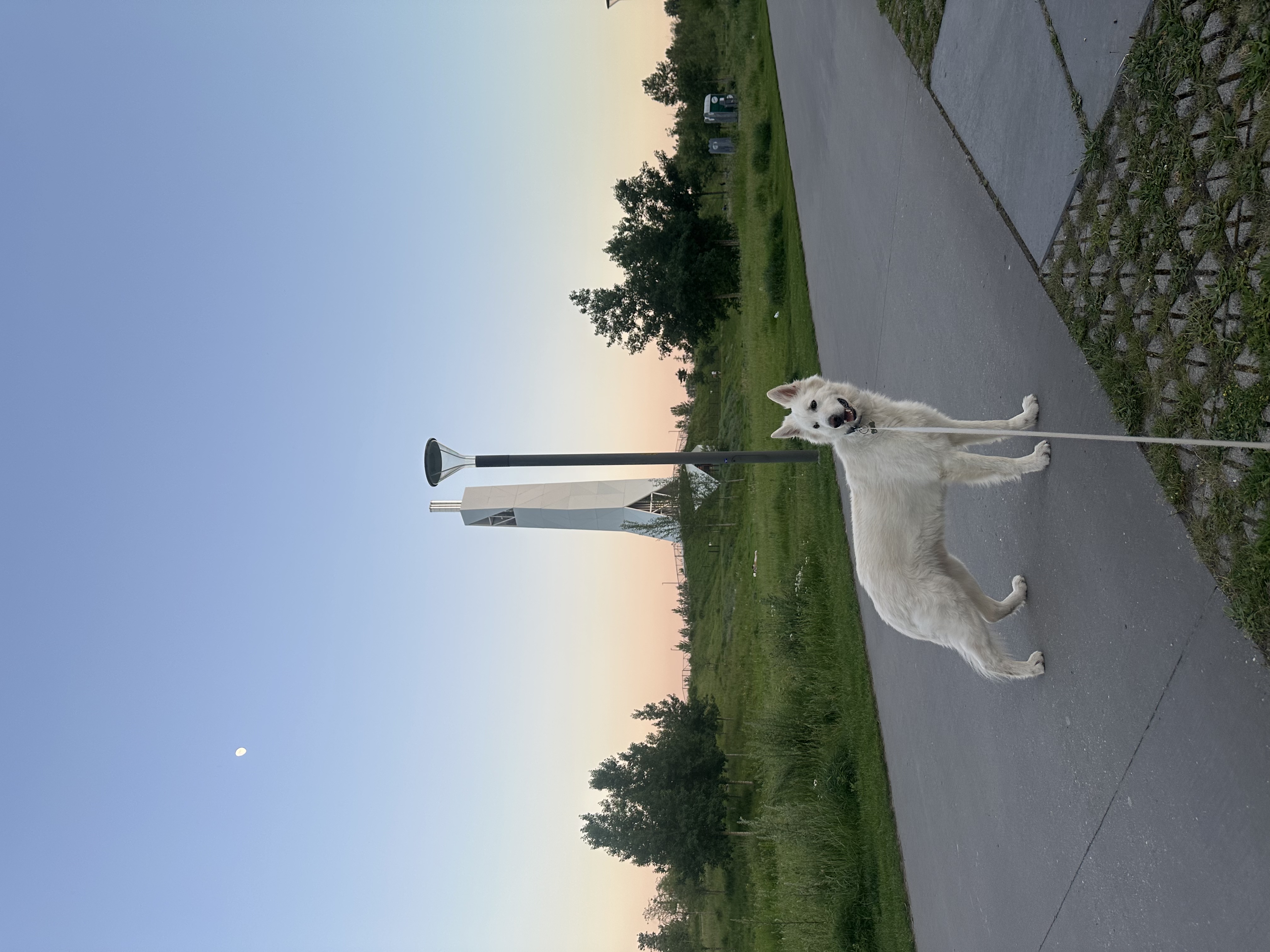 image-20