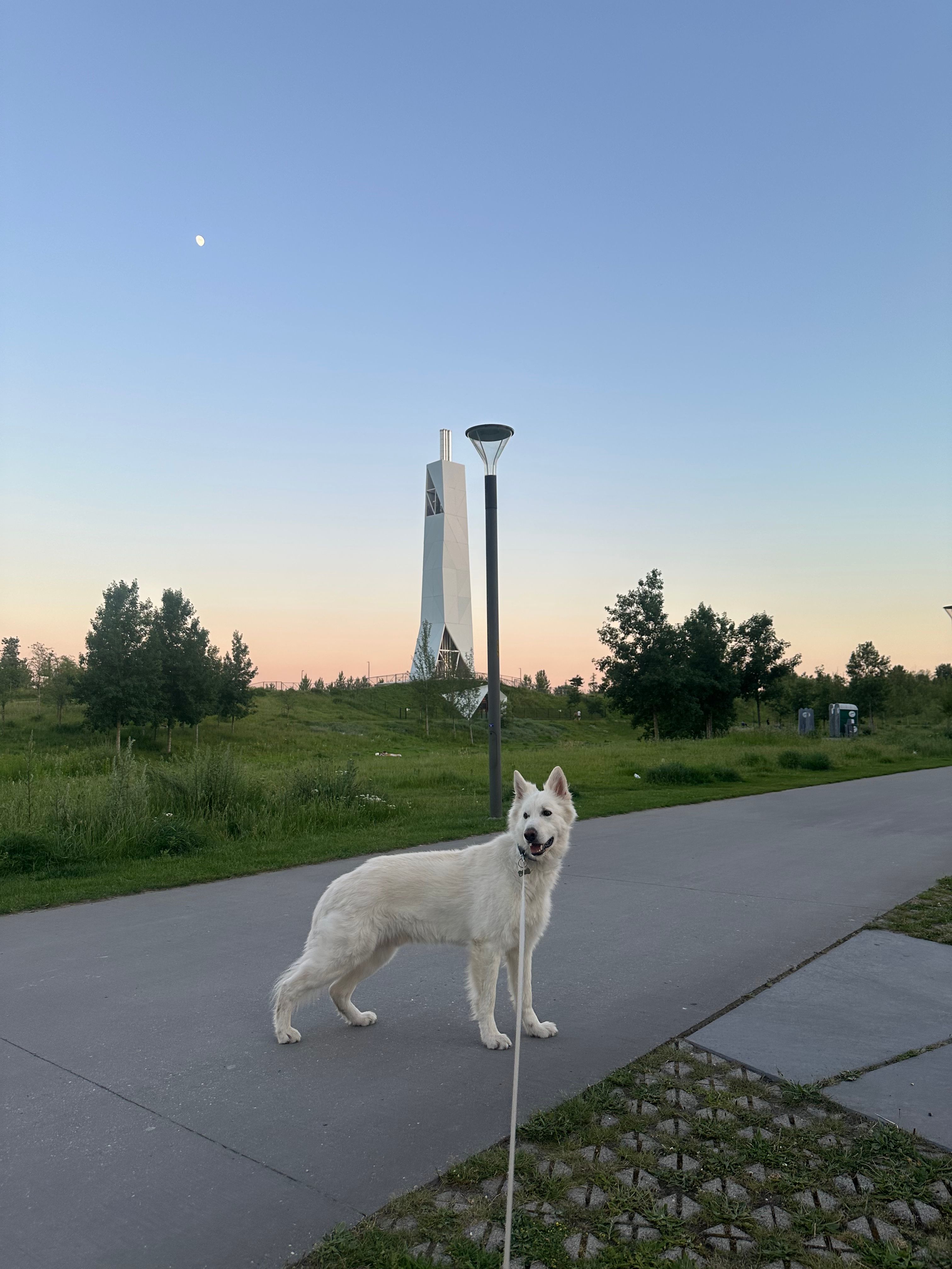 image-20