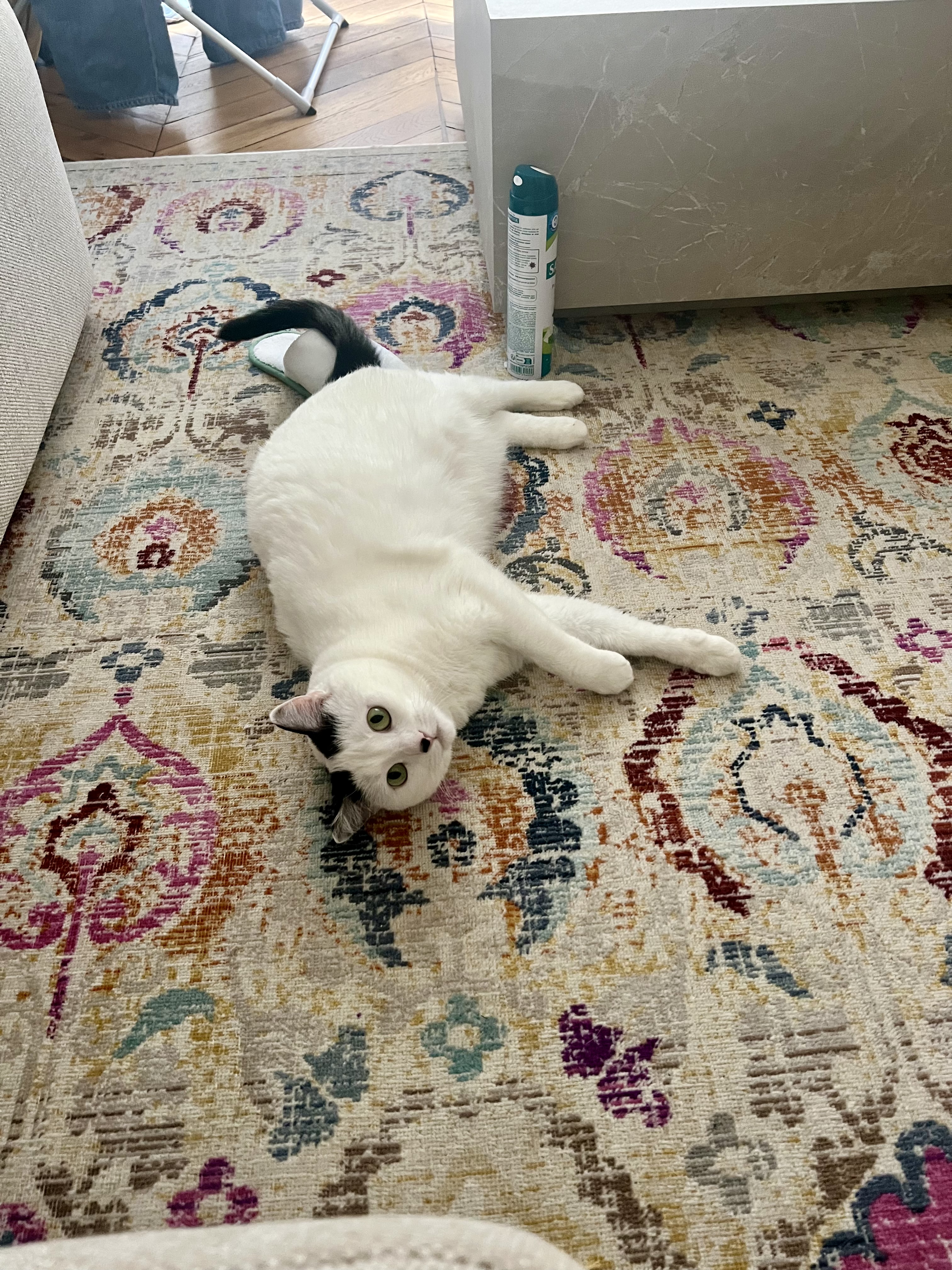 image-11