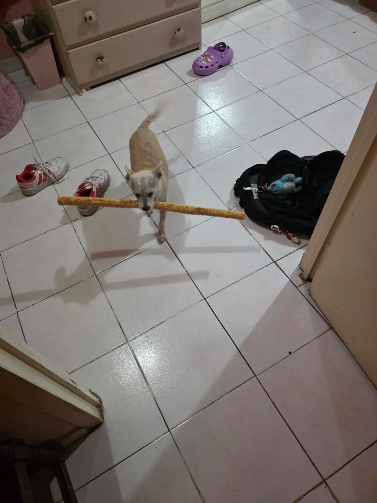 image-7