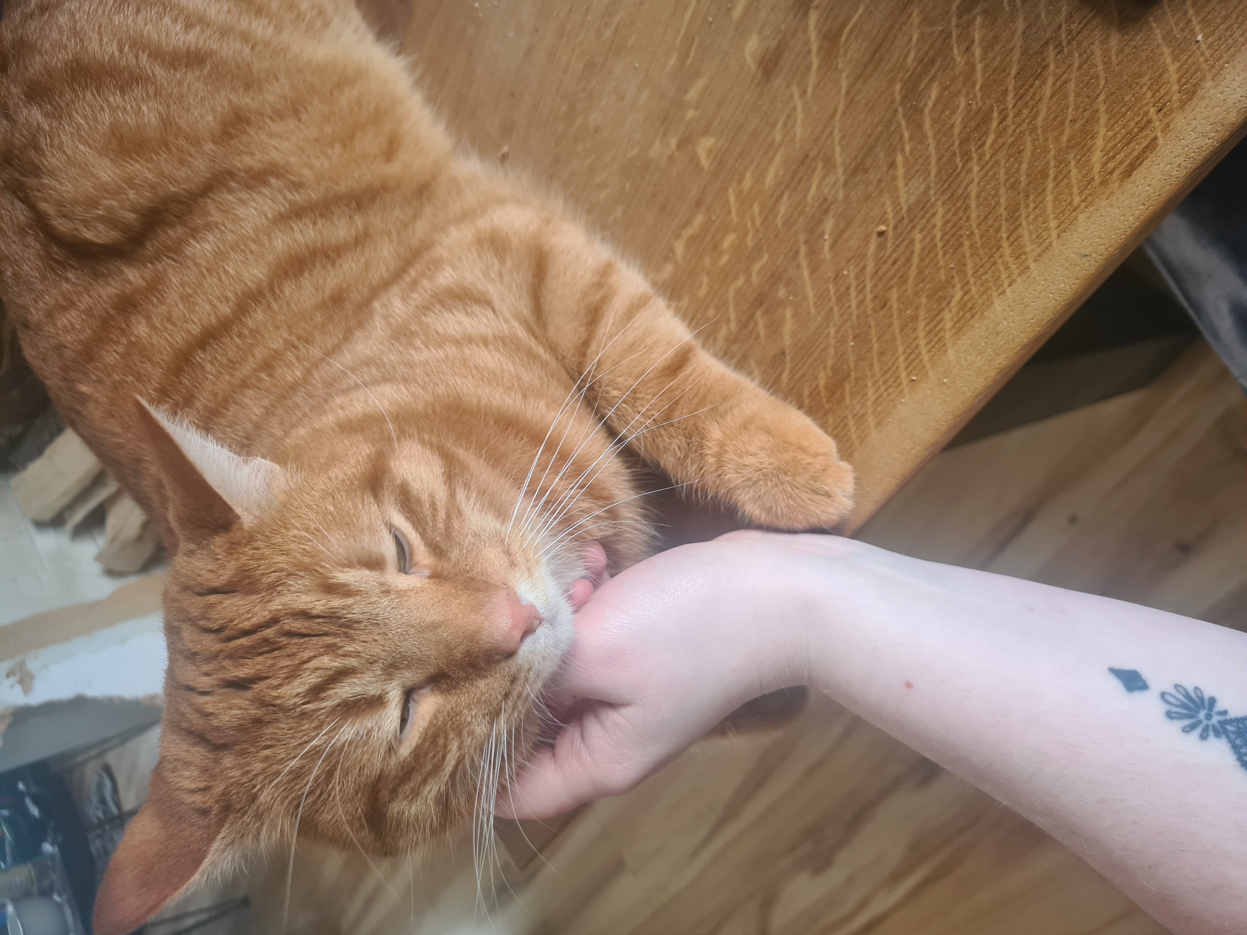 image-6