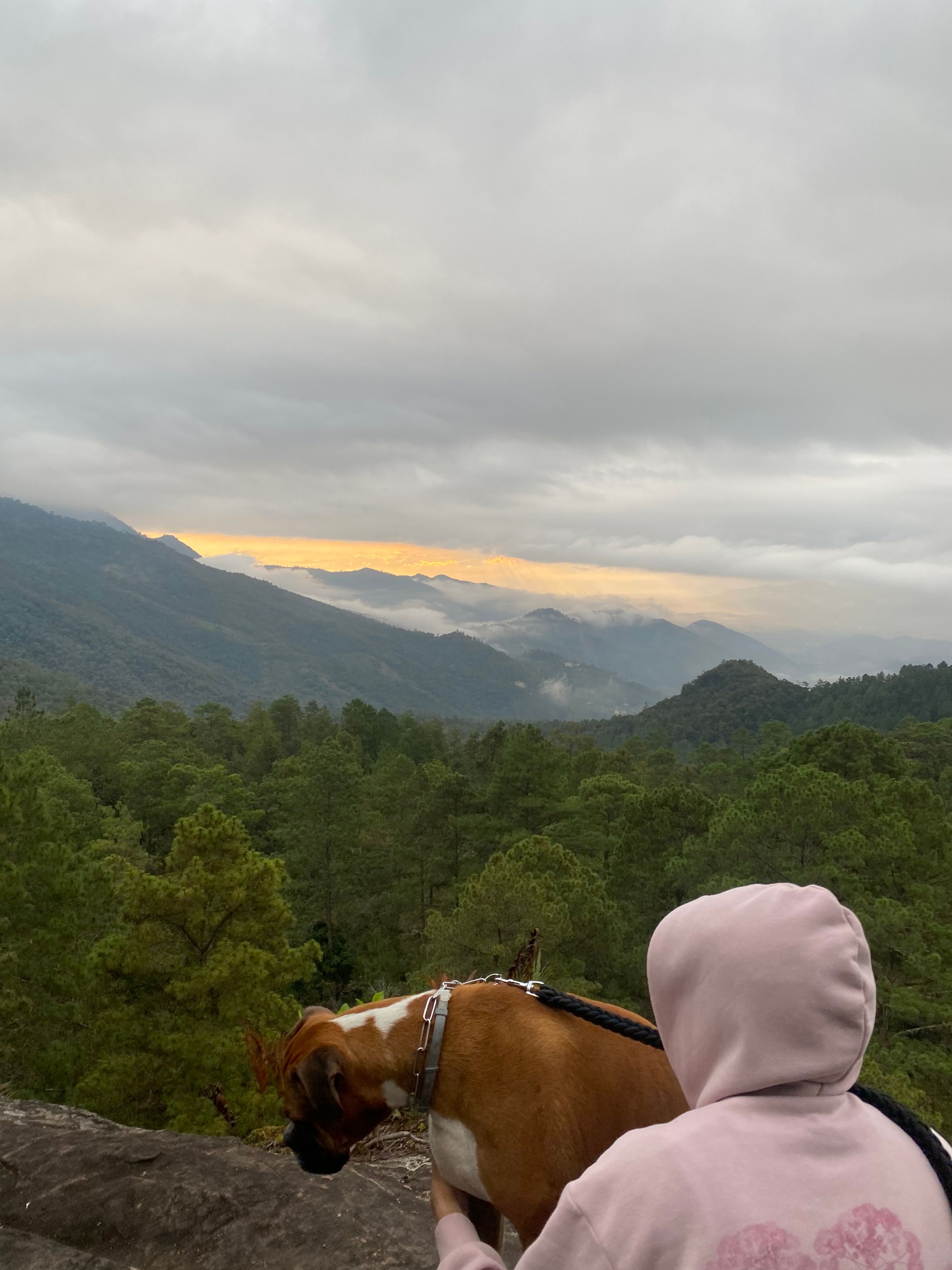 image-4