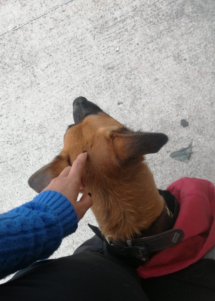 image-5