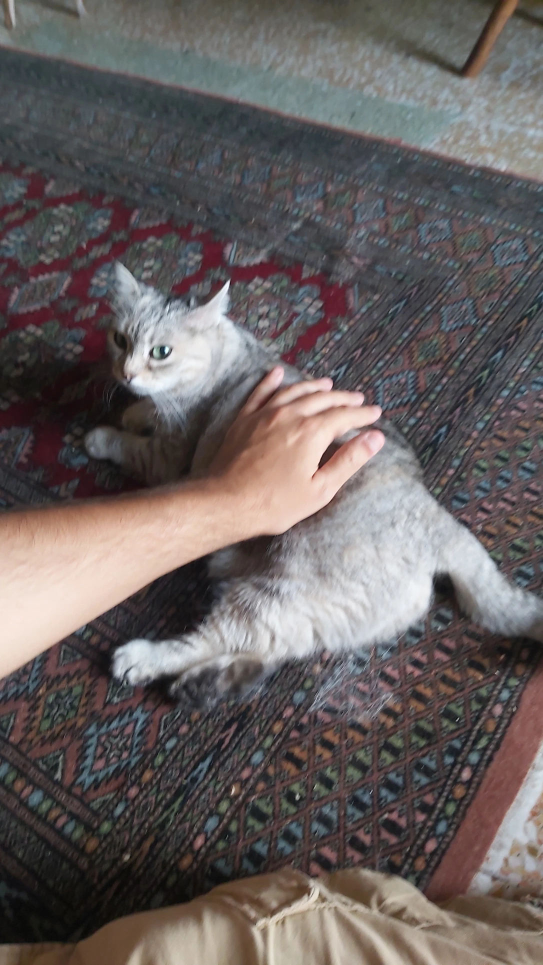 image-7