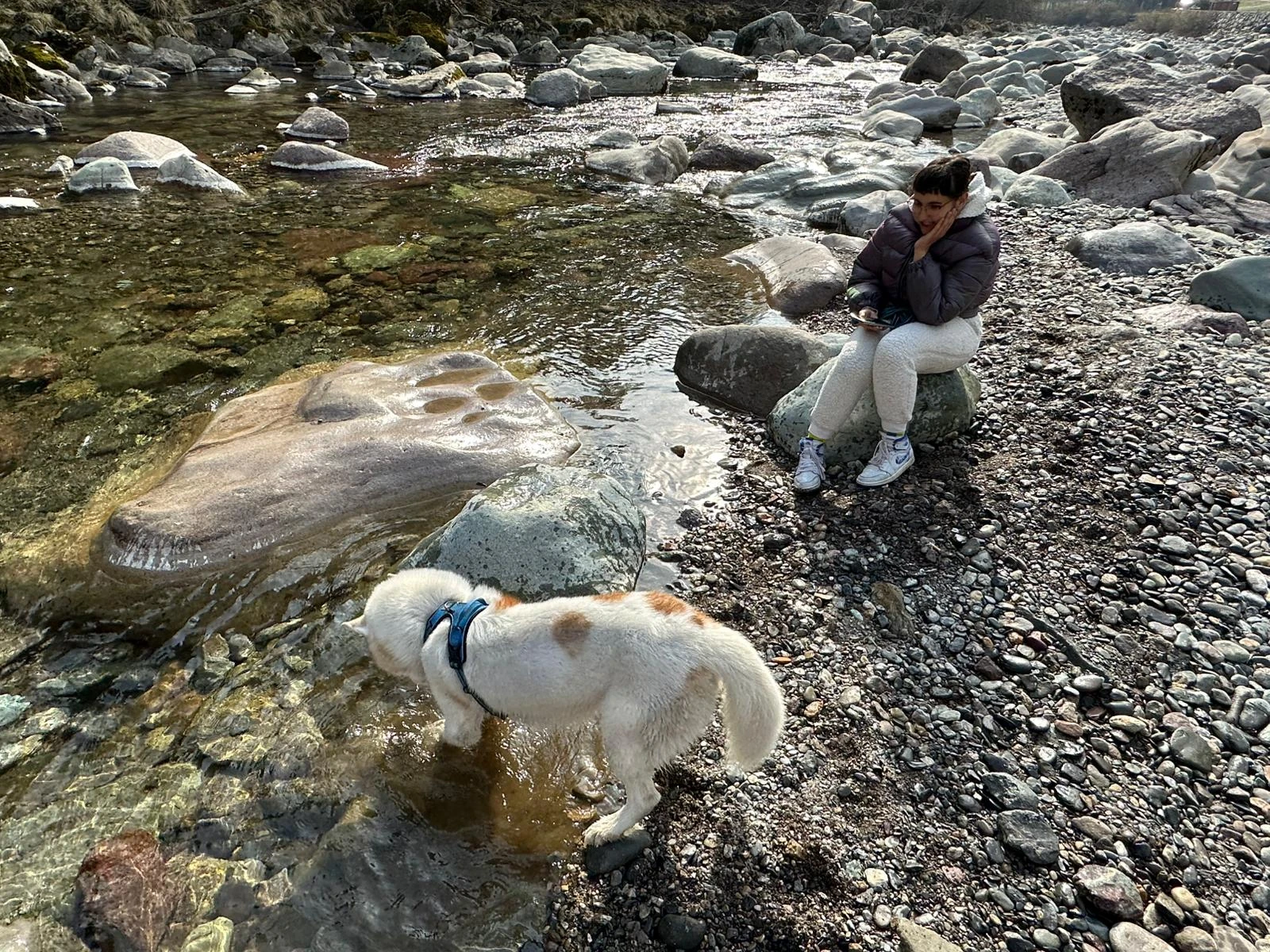image-7