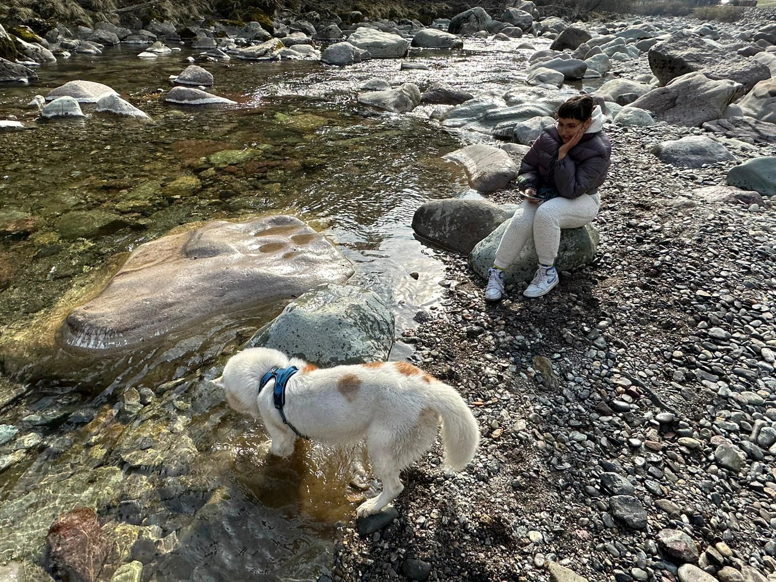 image-7