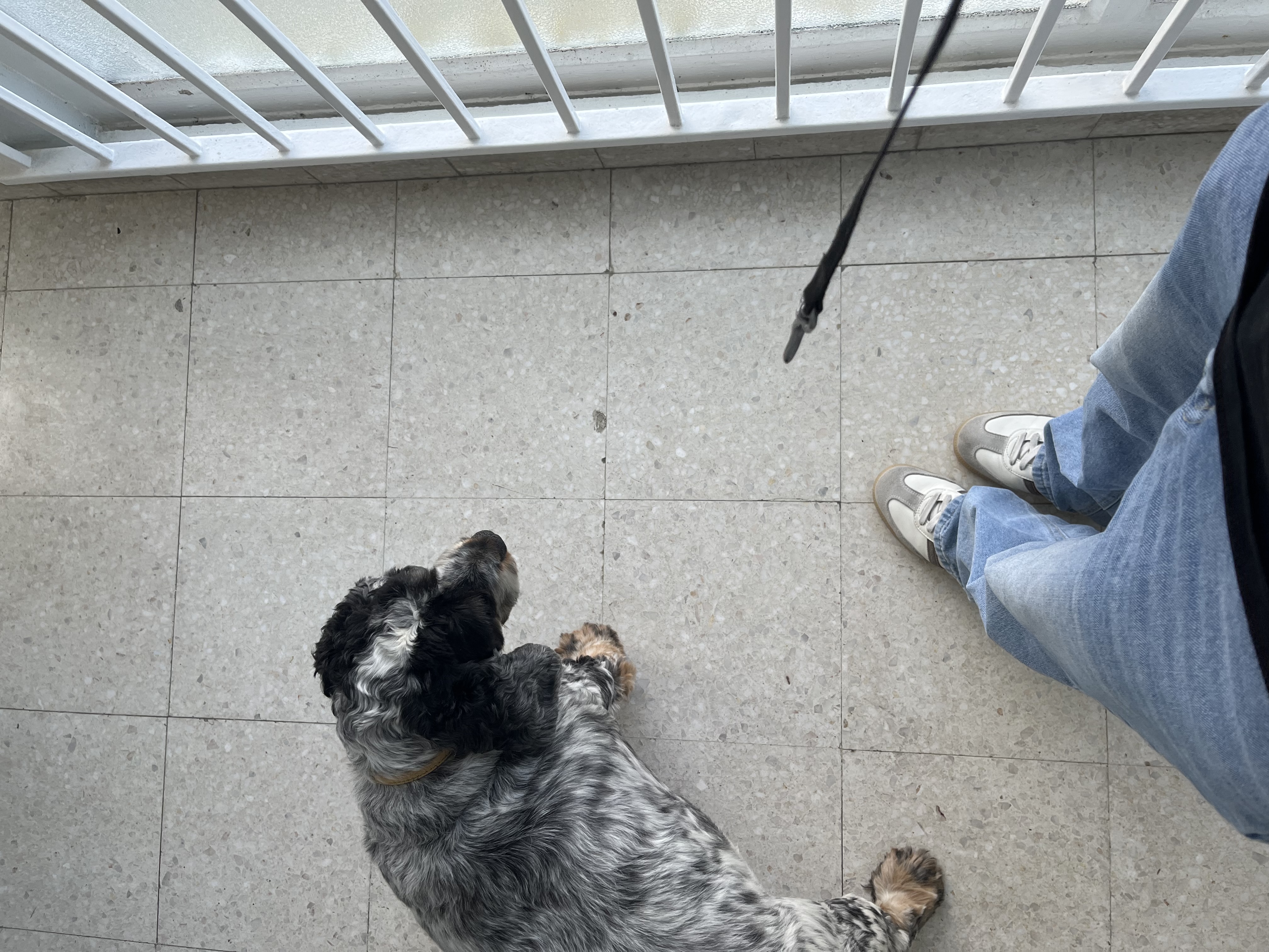 image-8