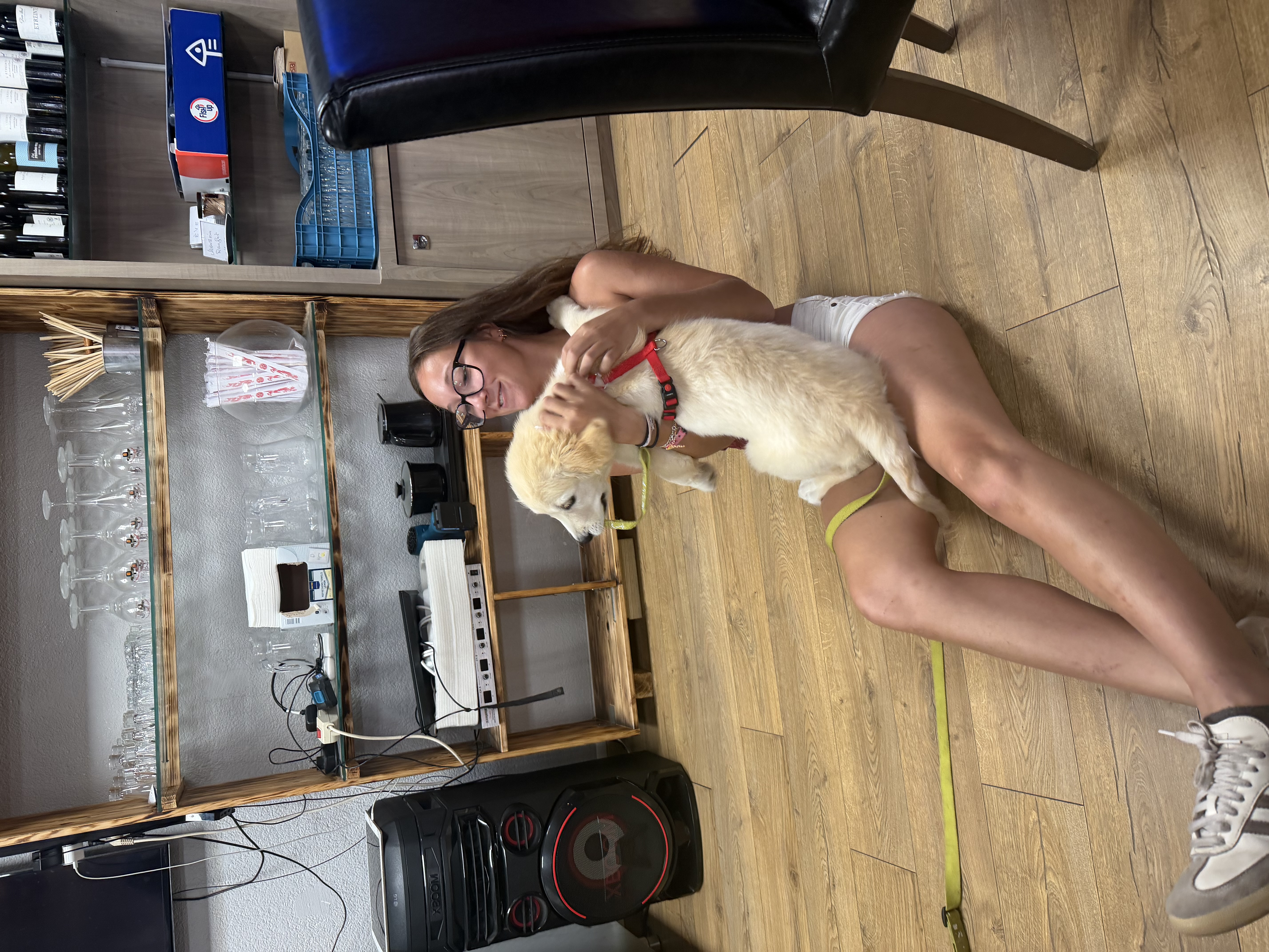 image-7