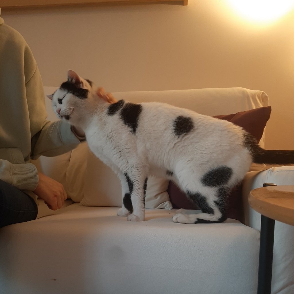 Sid