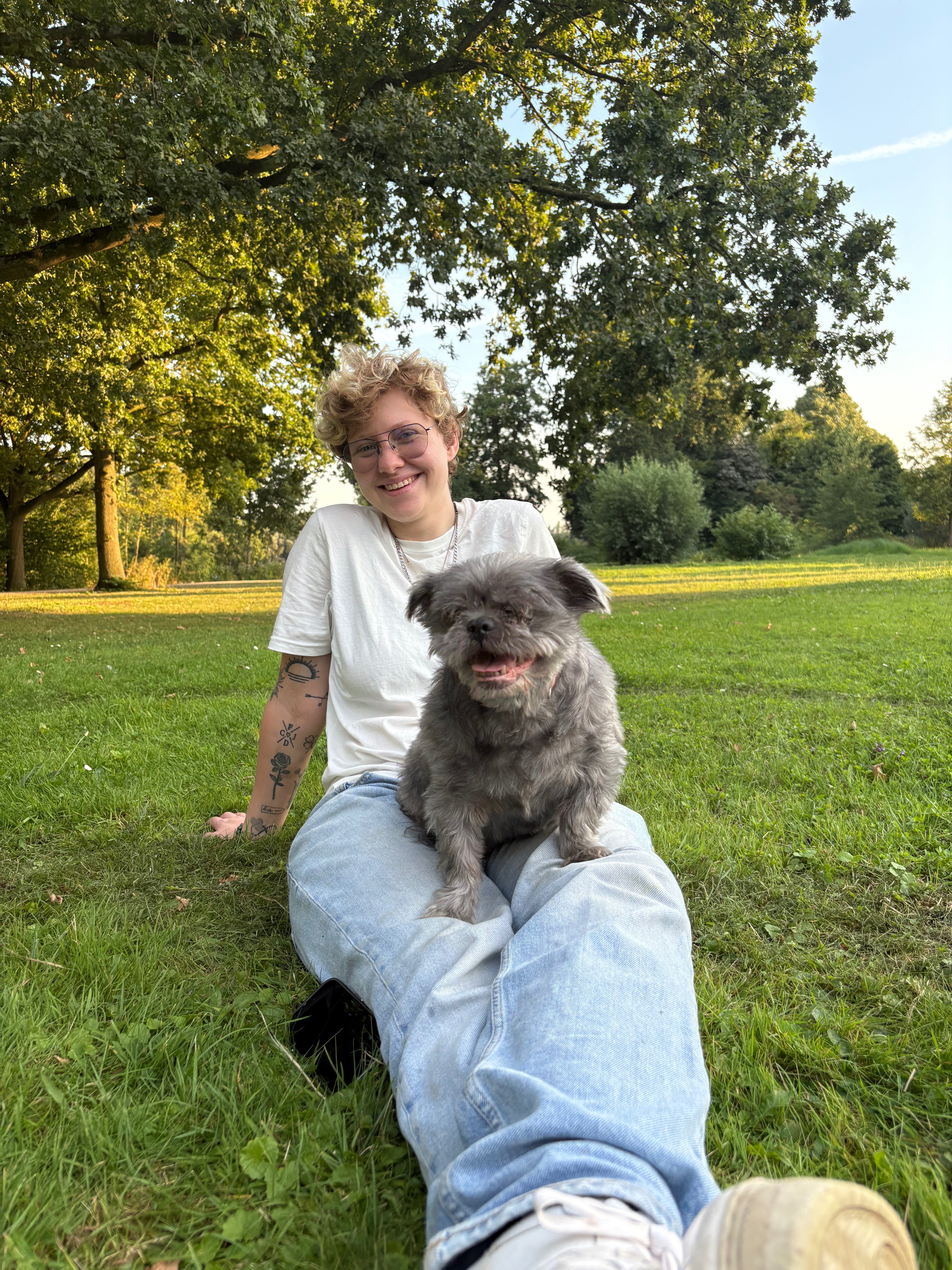 image-4