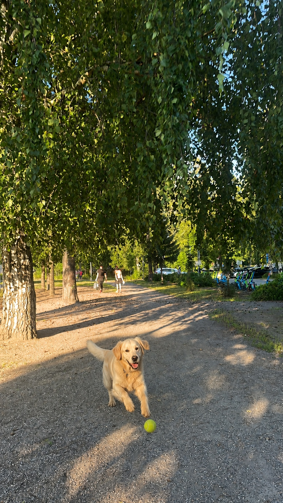 image-8