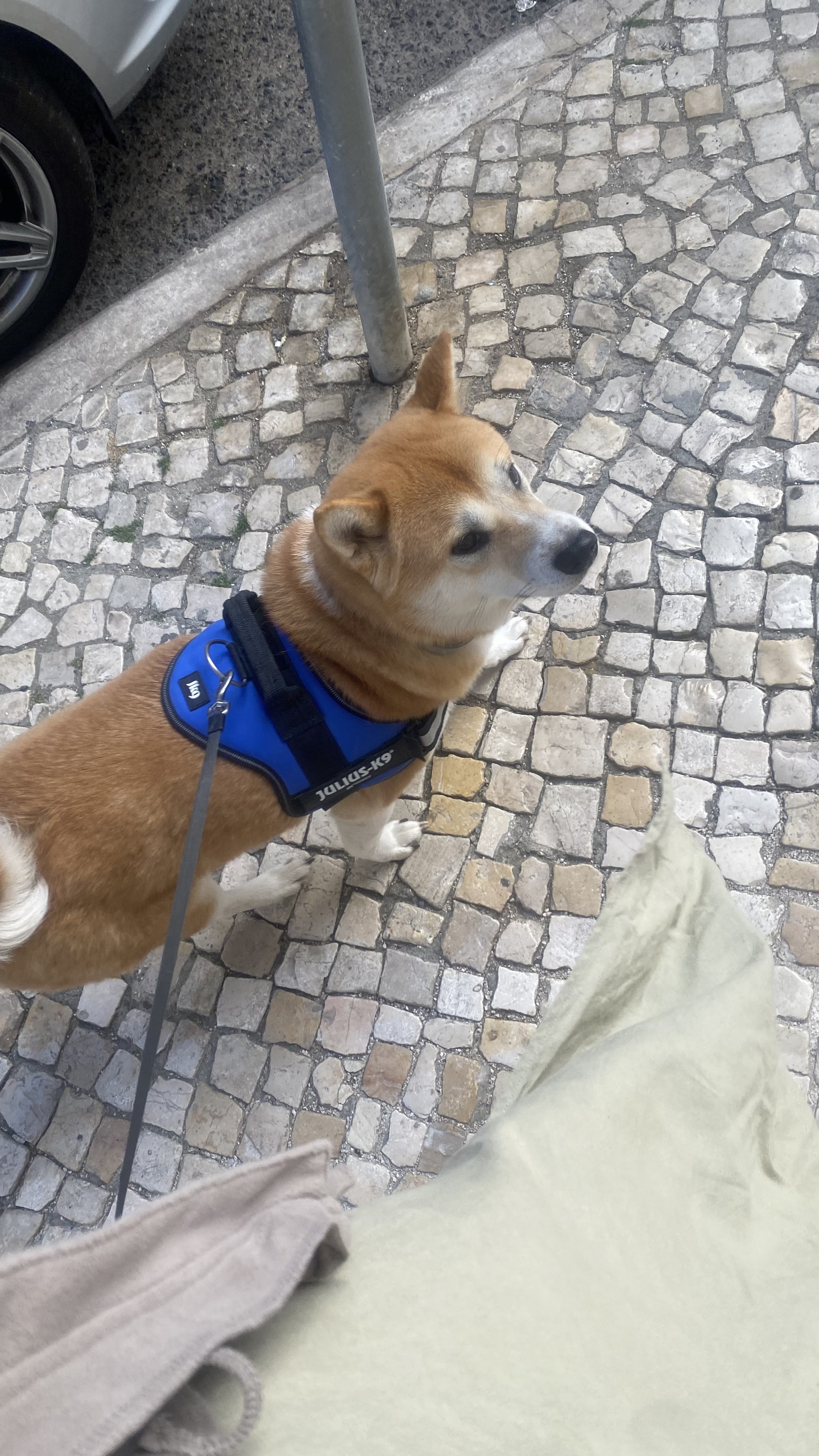 image-20