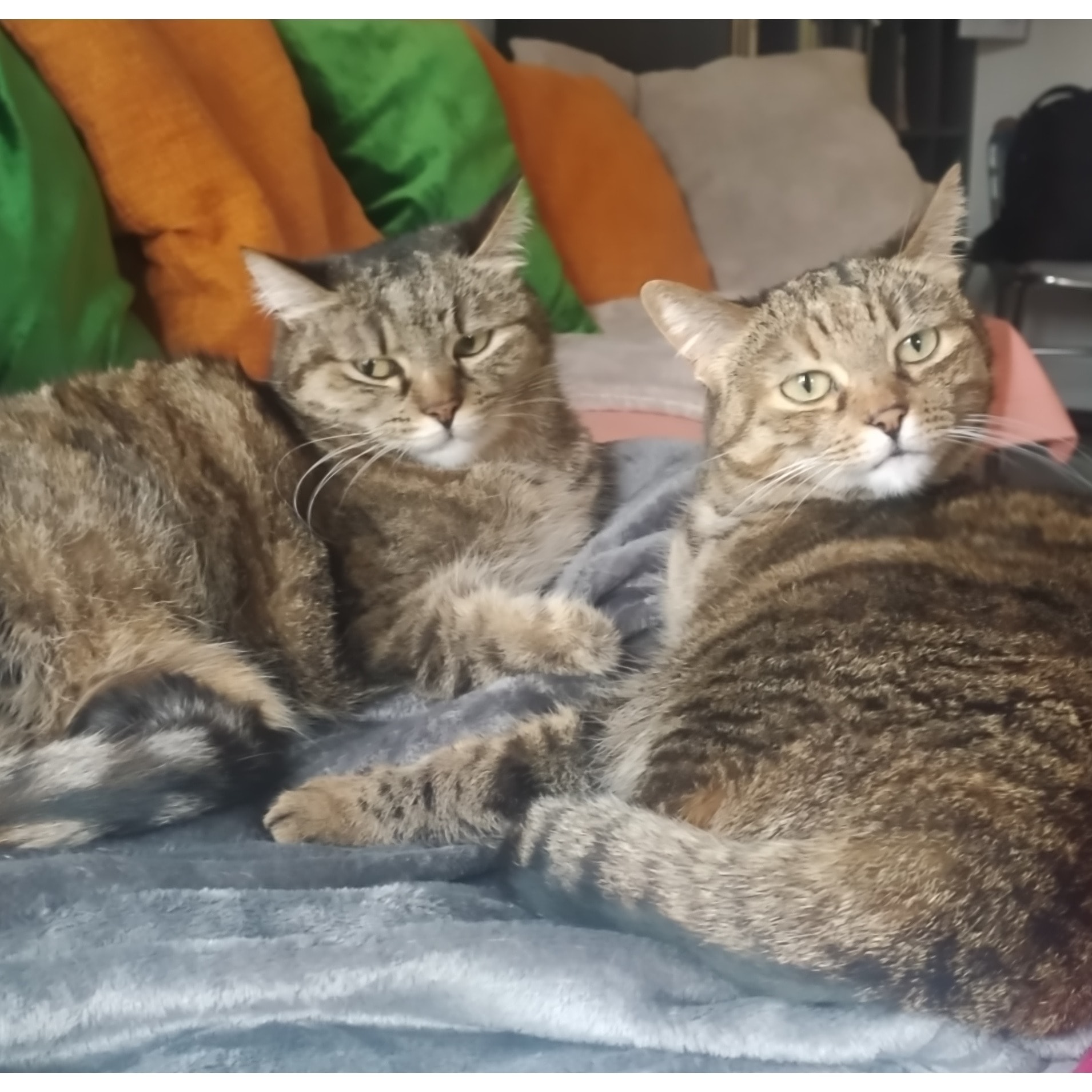 Nina e Bru