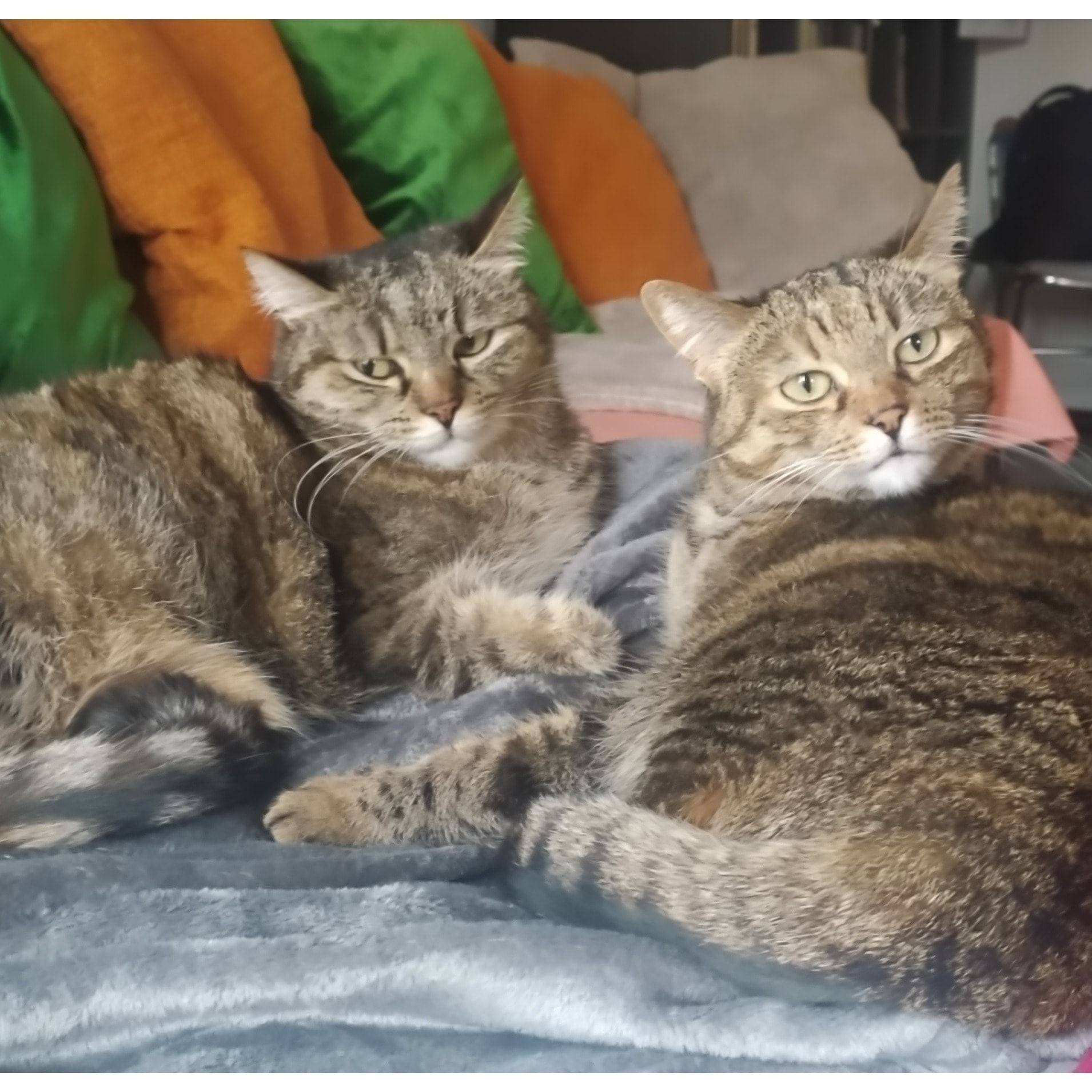 Nina e Bru