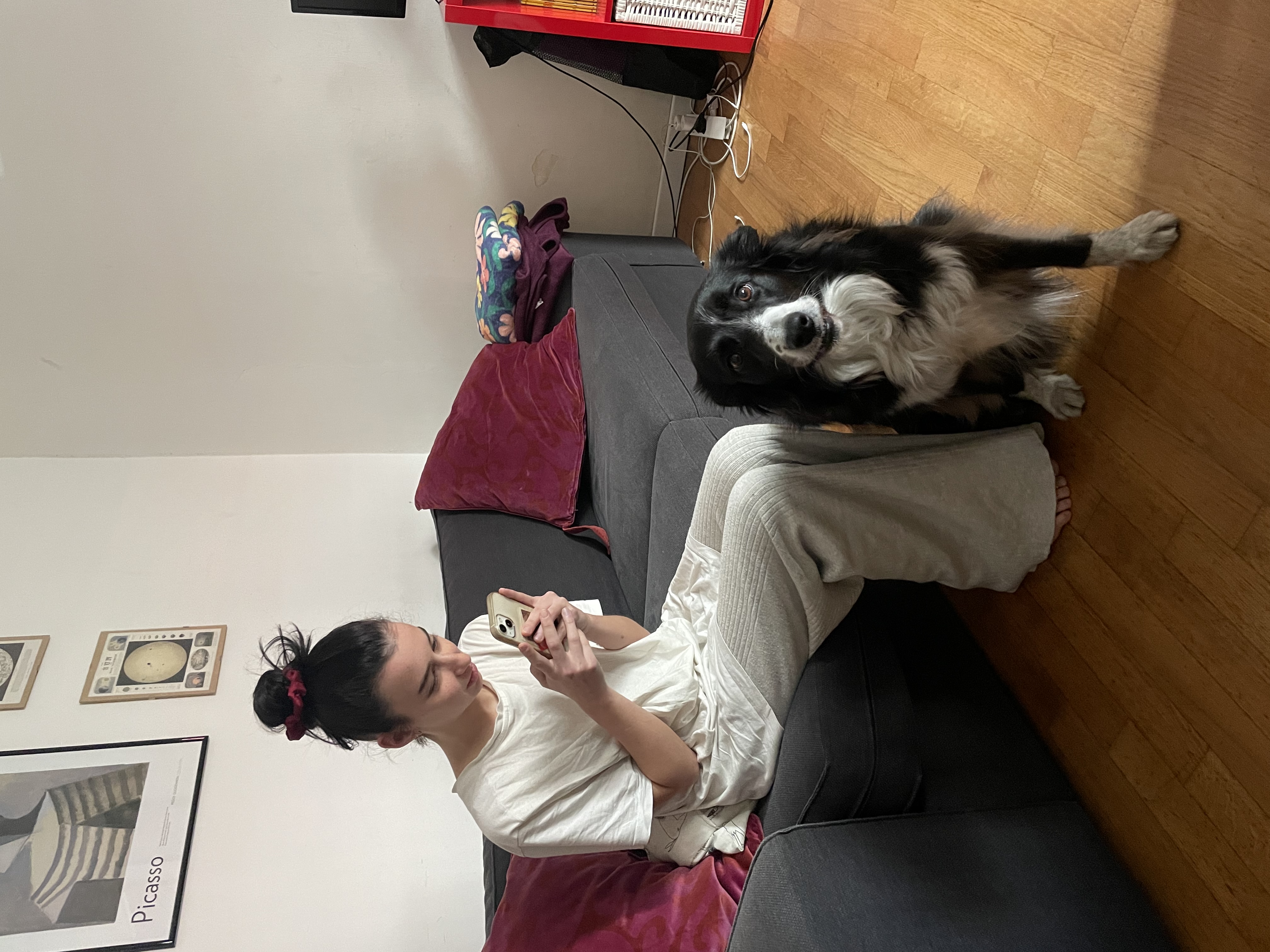 image-12