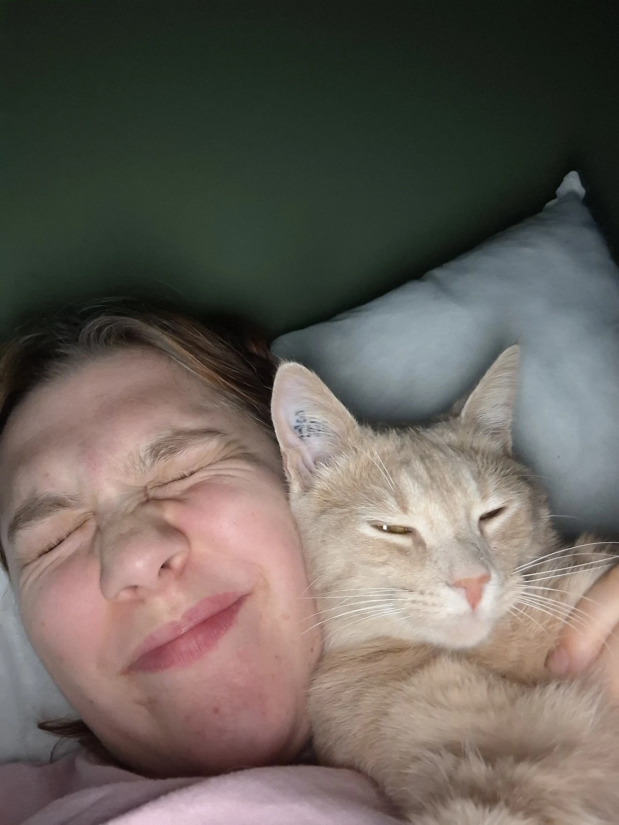 image-6