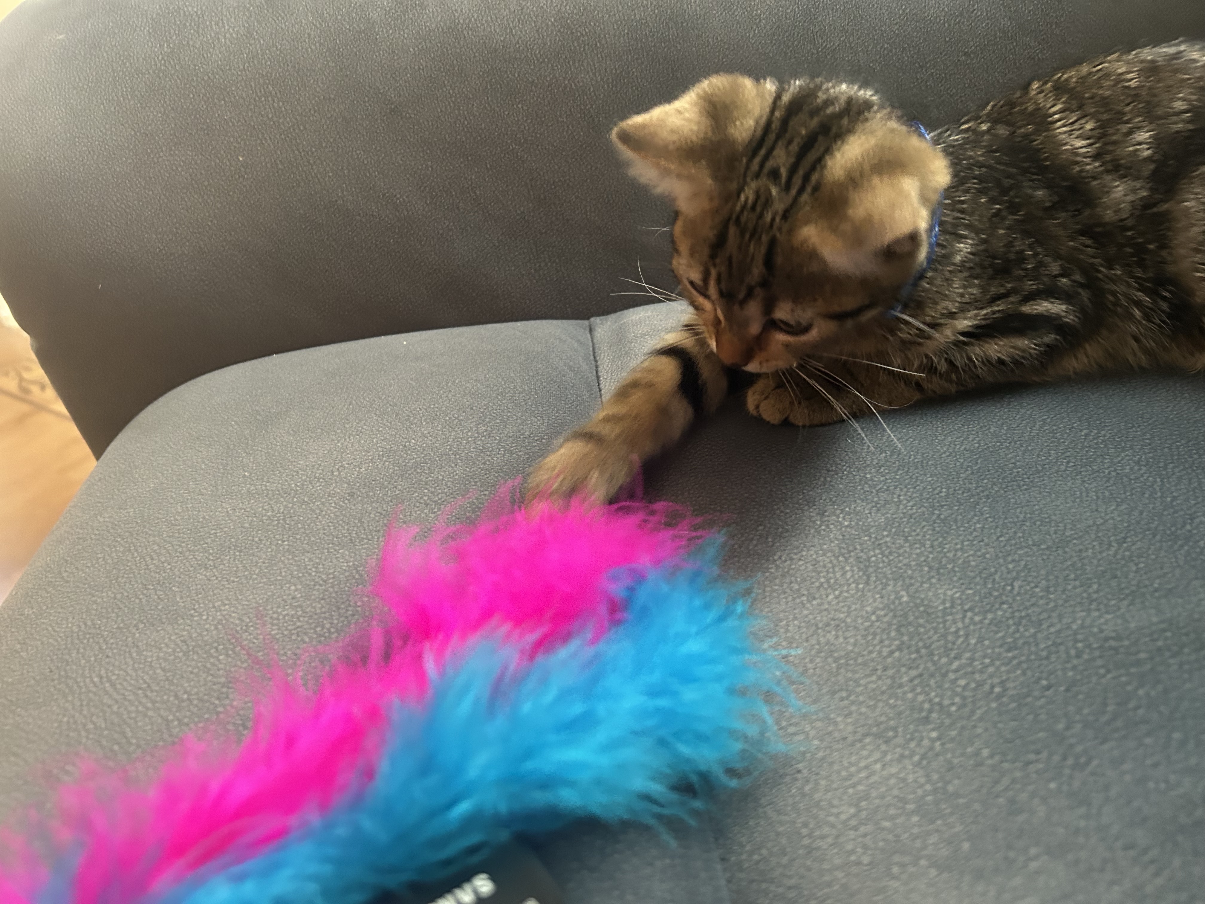 image-8