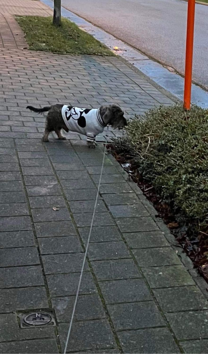 image-6