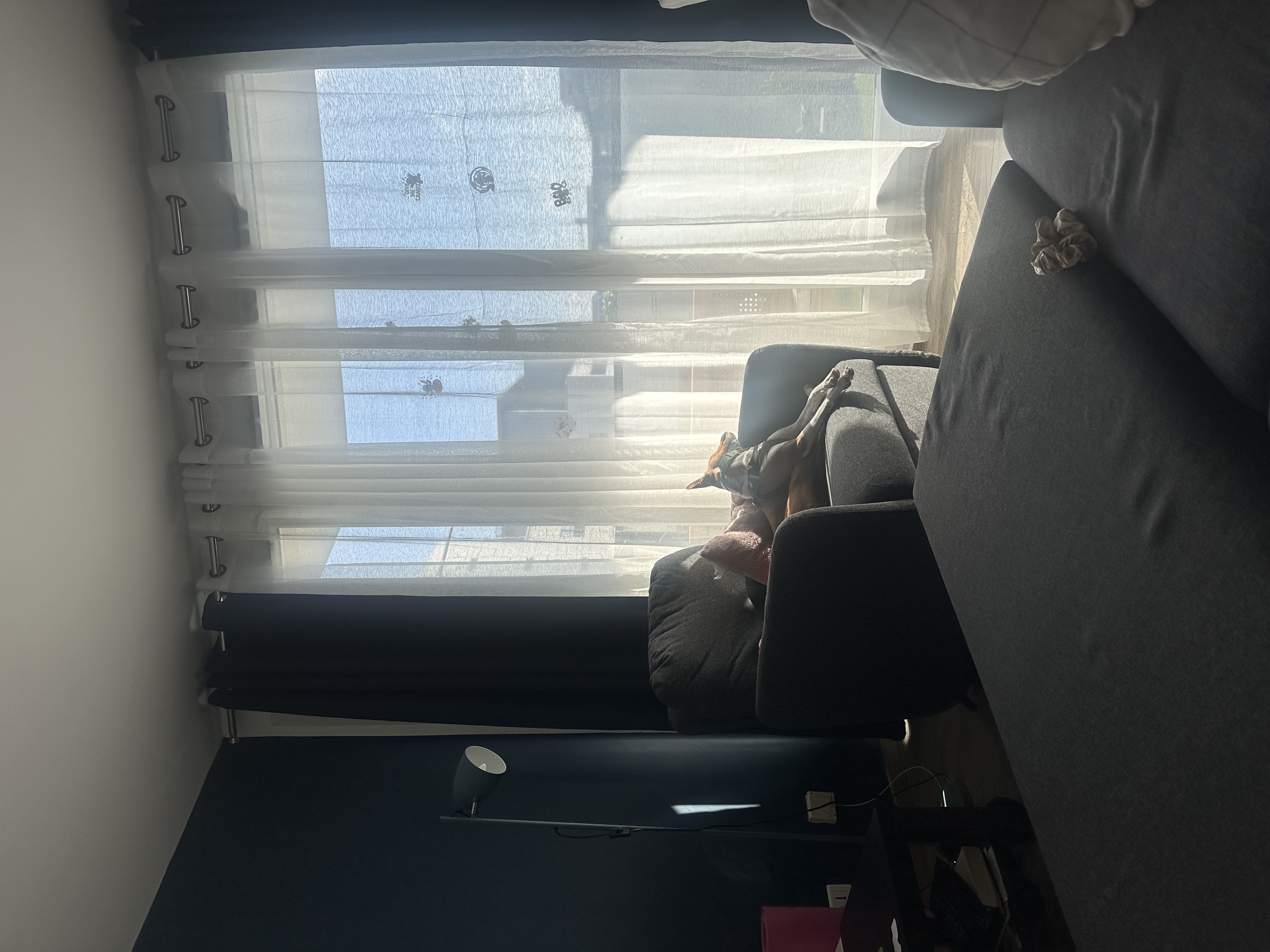 image-13