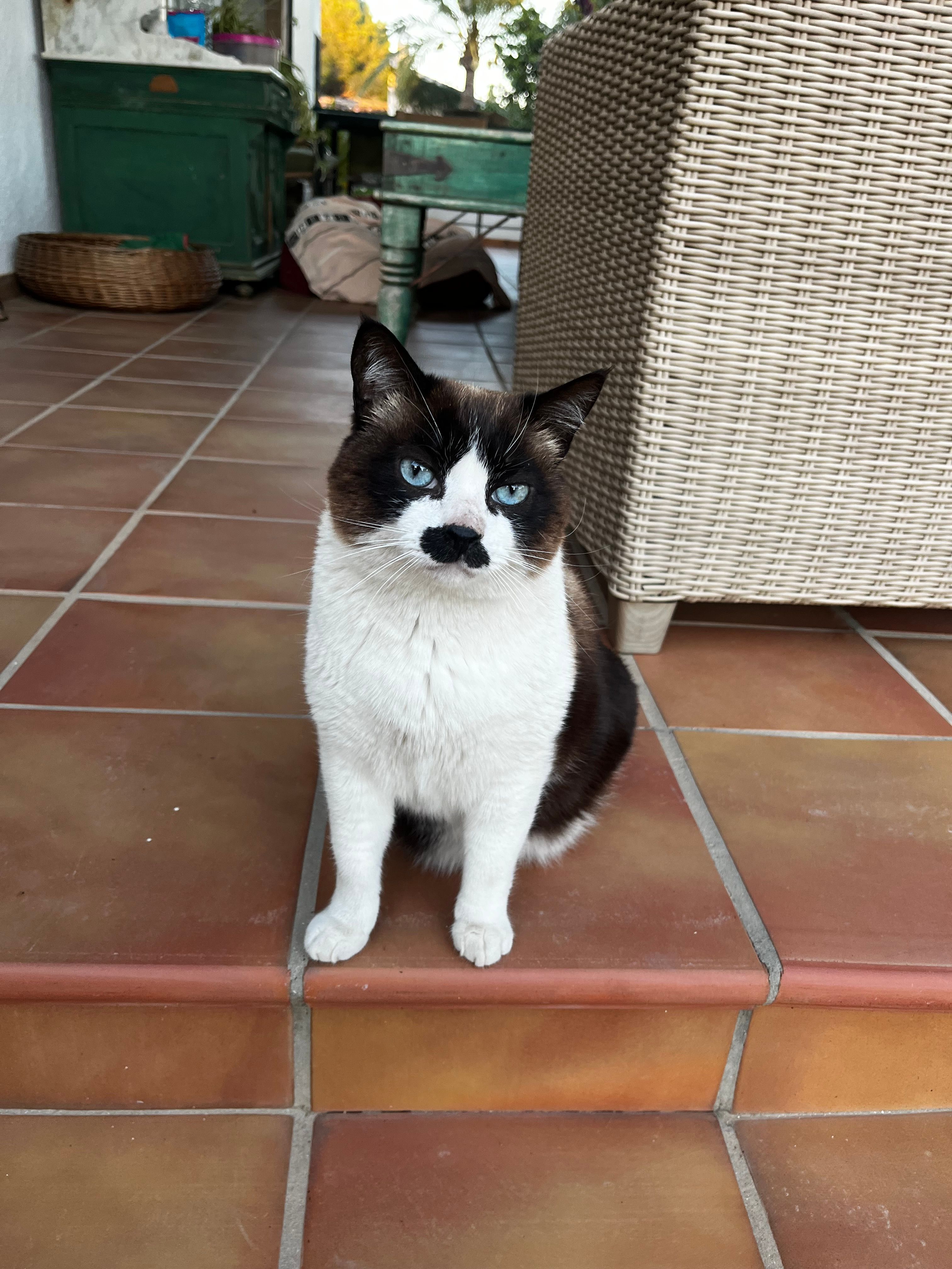 image-11