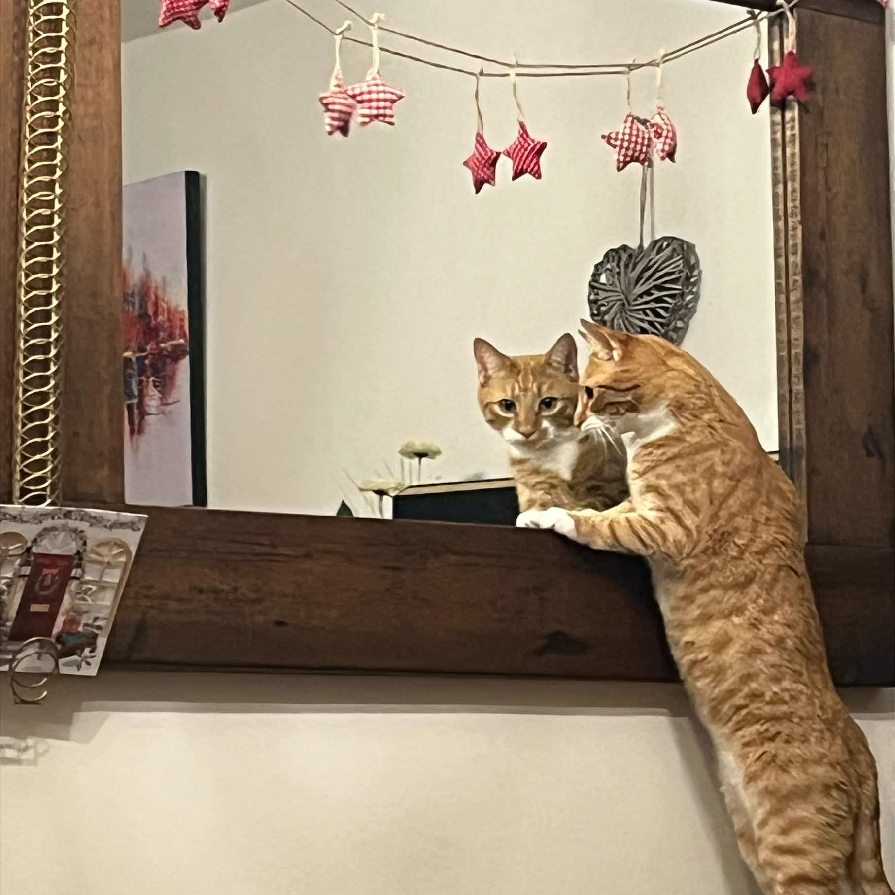 Marley