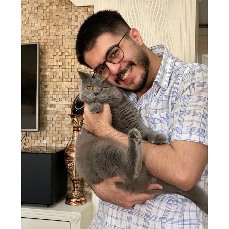 Mehdi