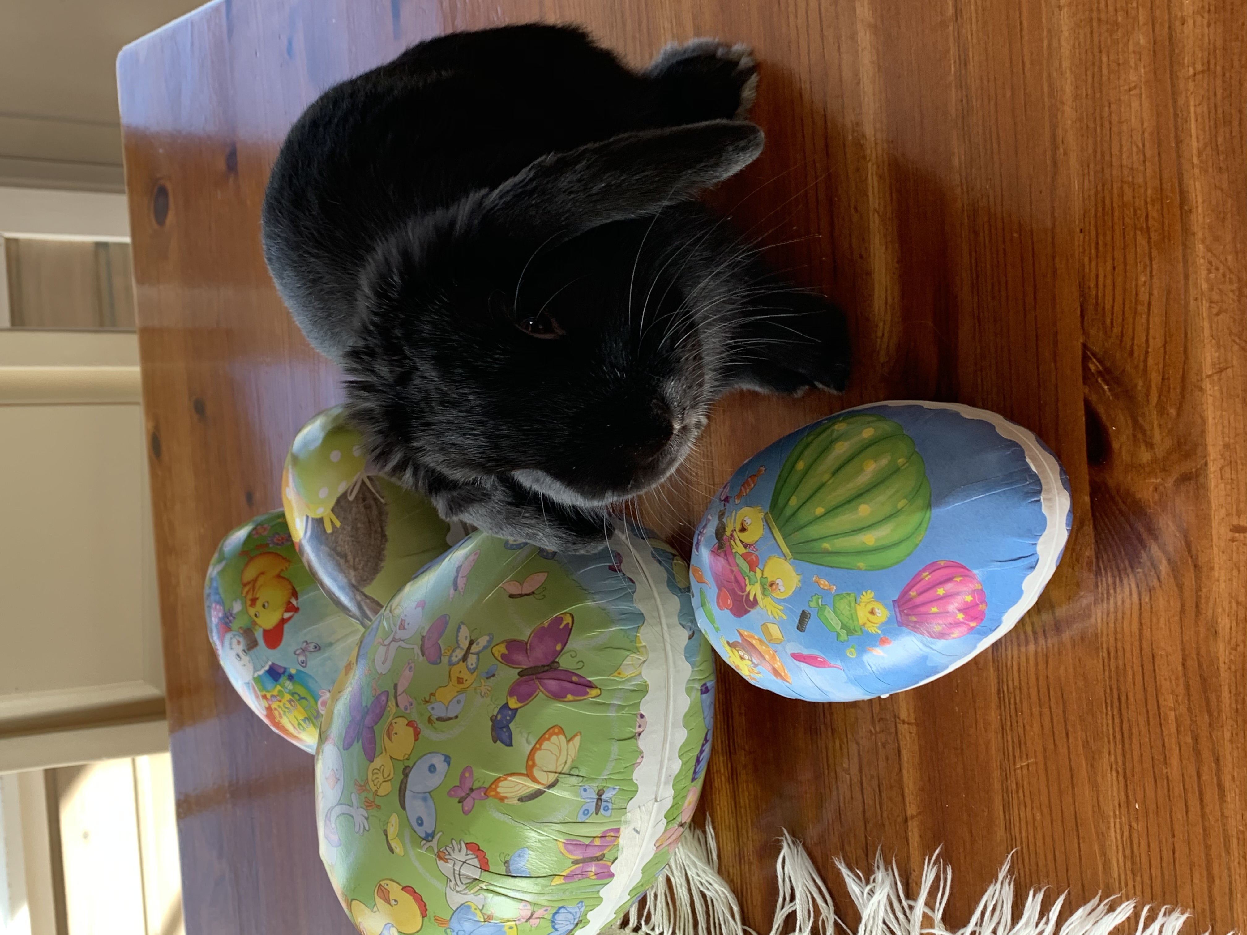 image-7