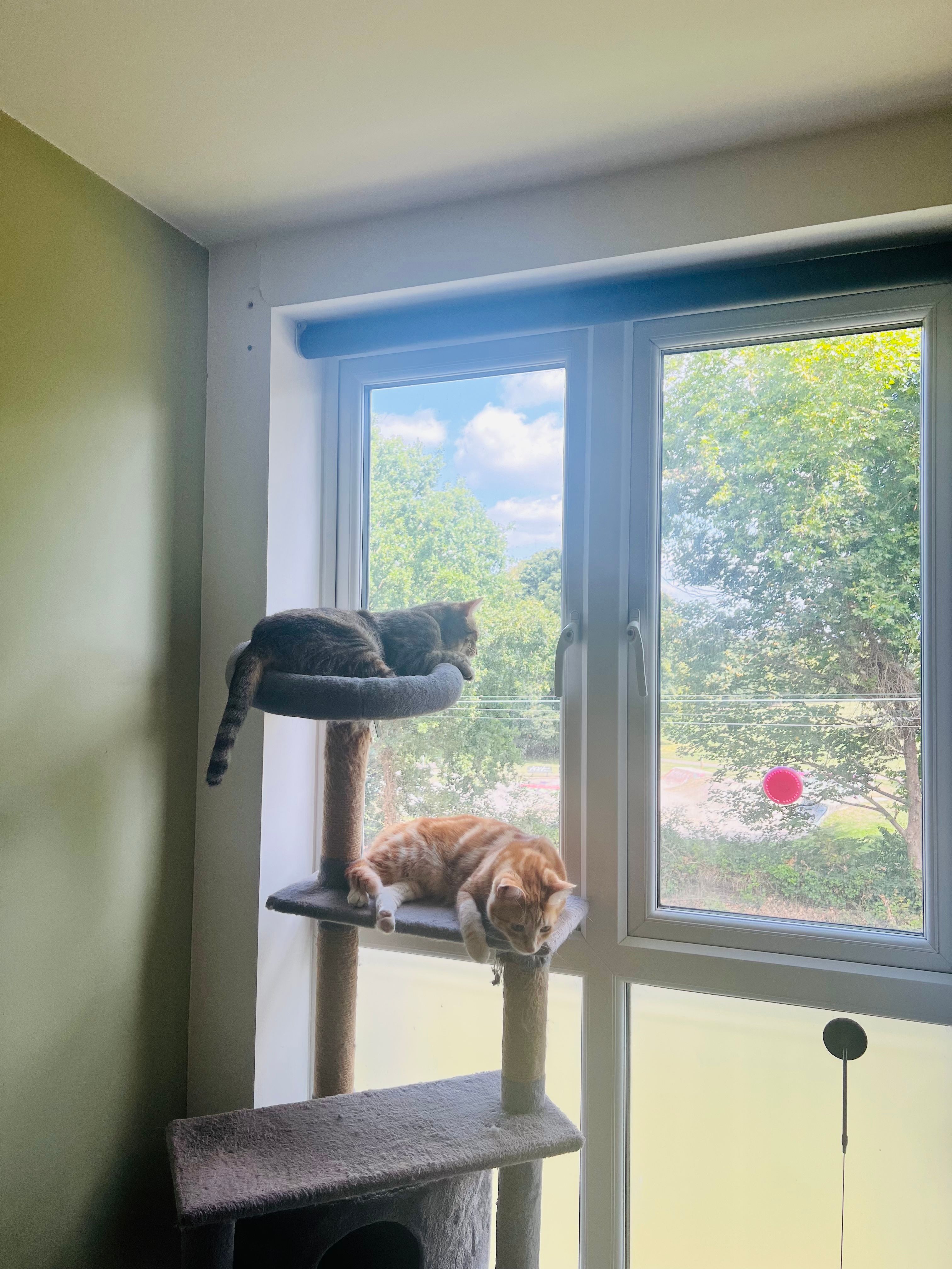 image-40