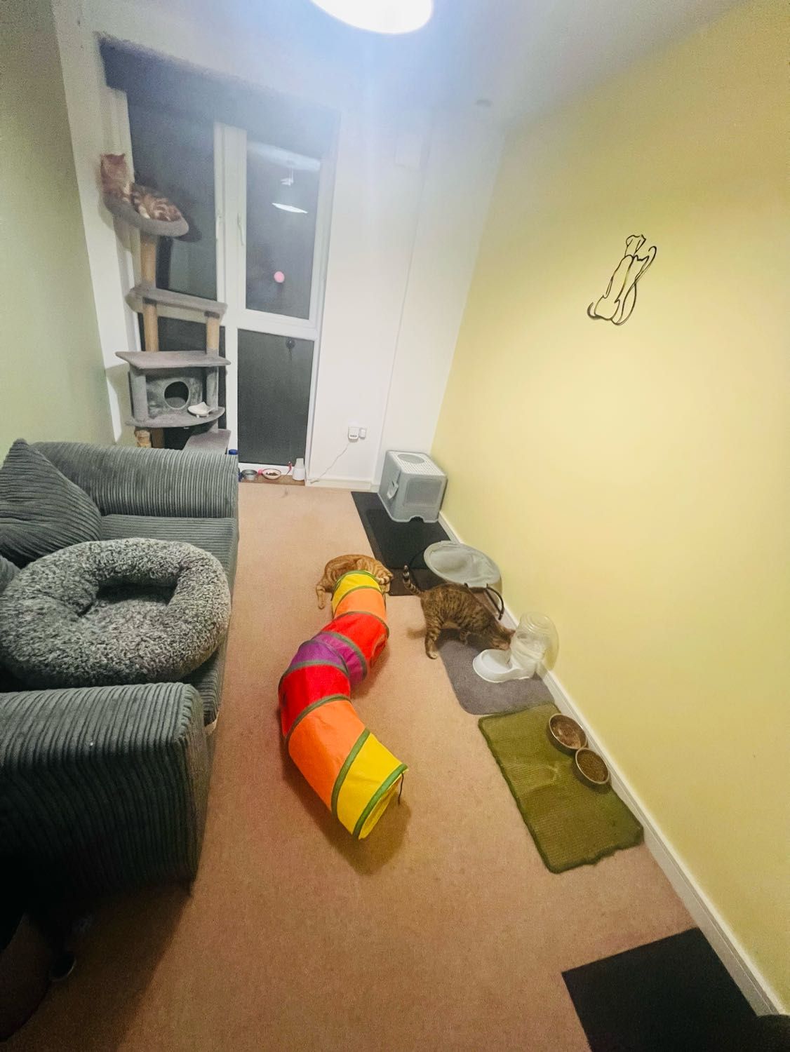 image-16