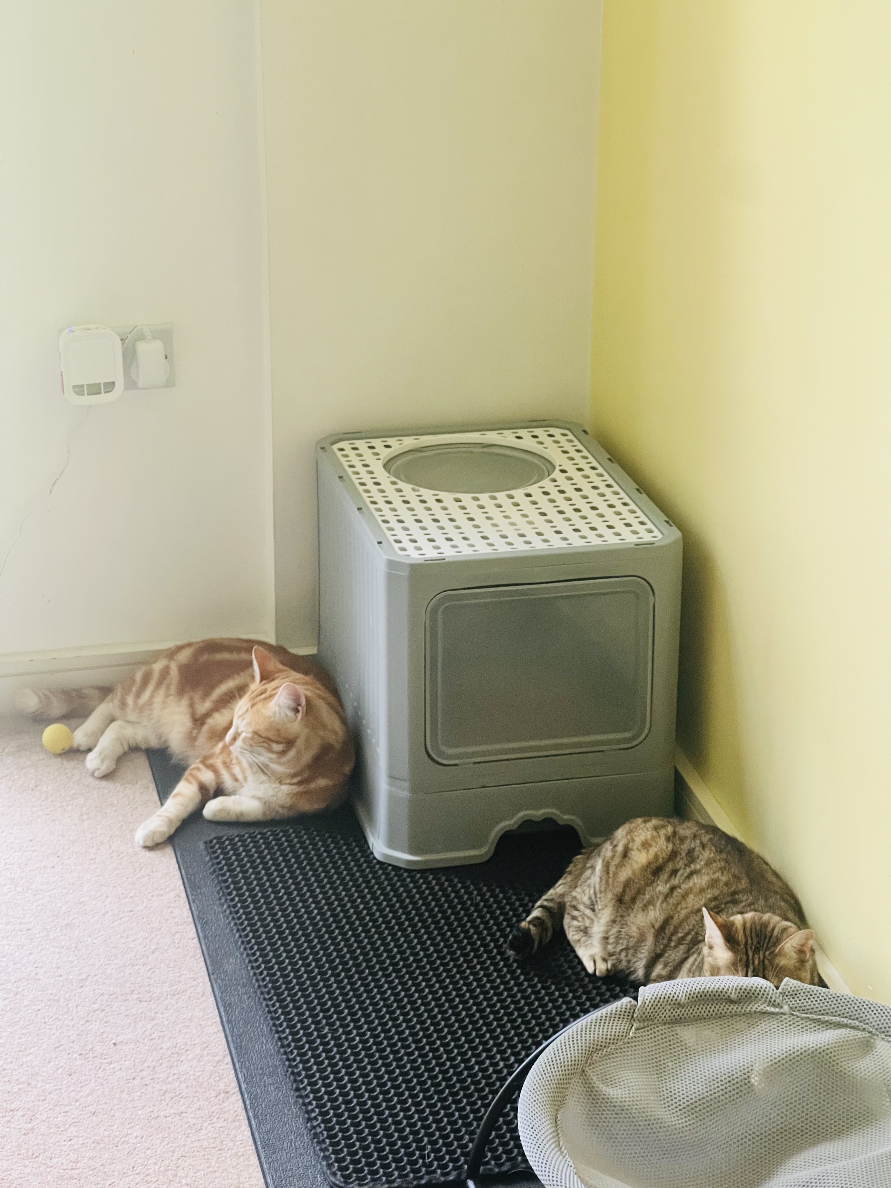 image-42