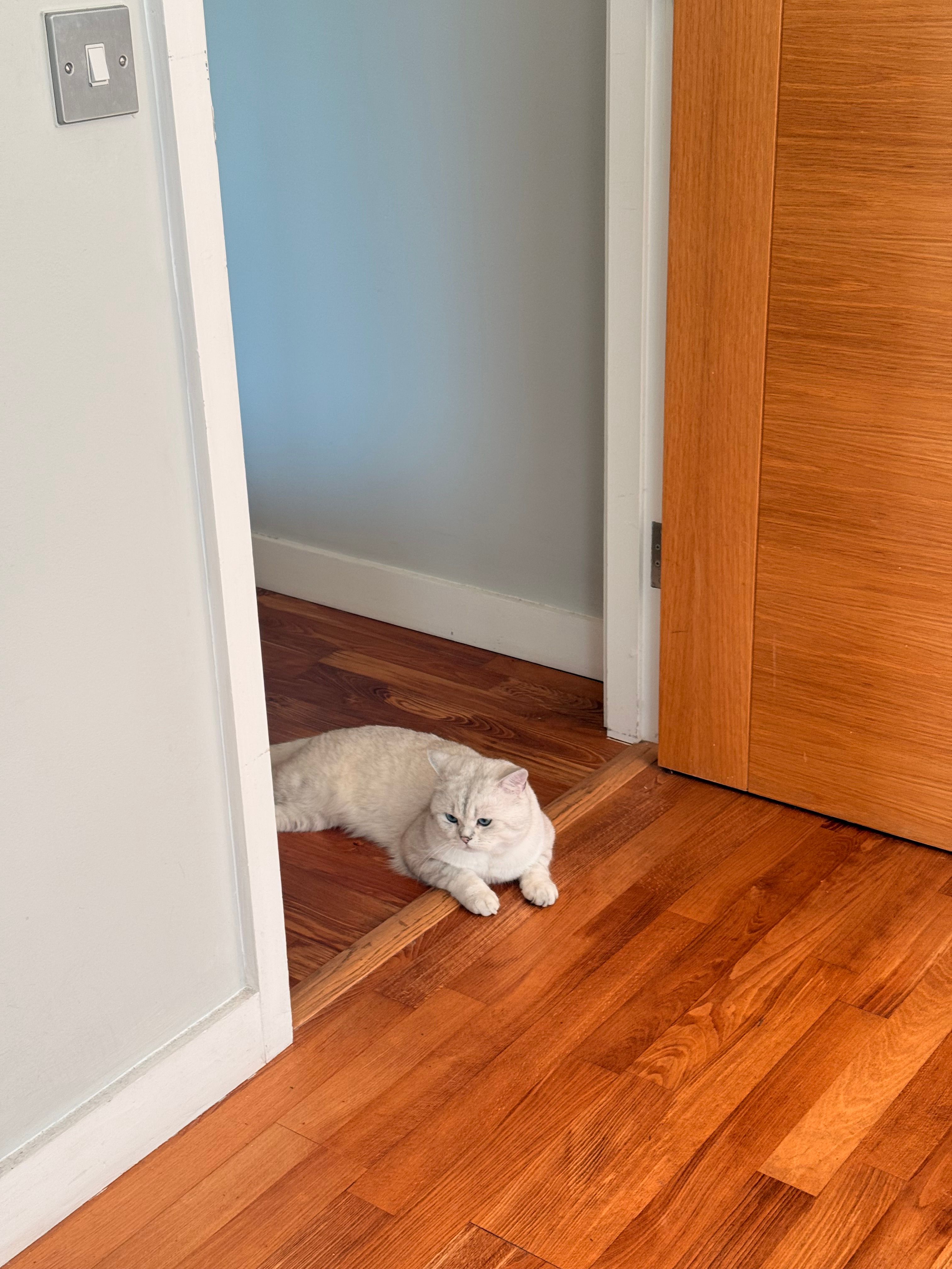 image-13