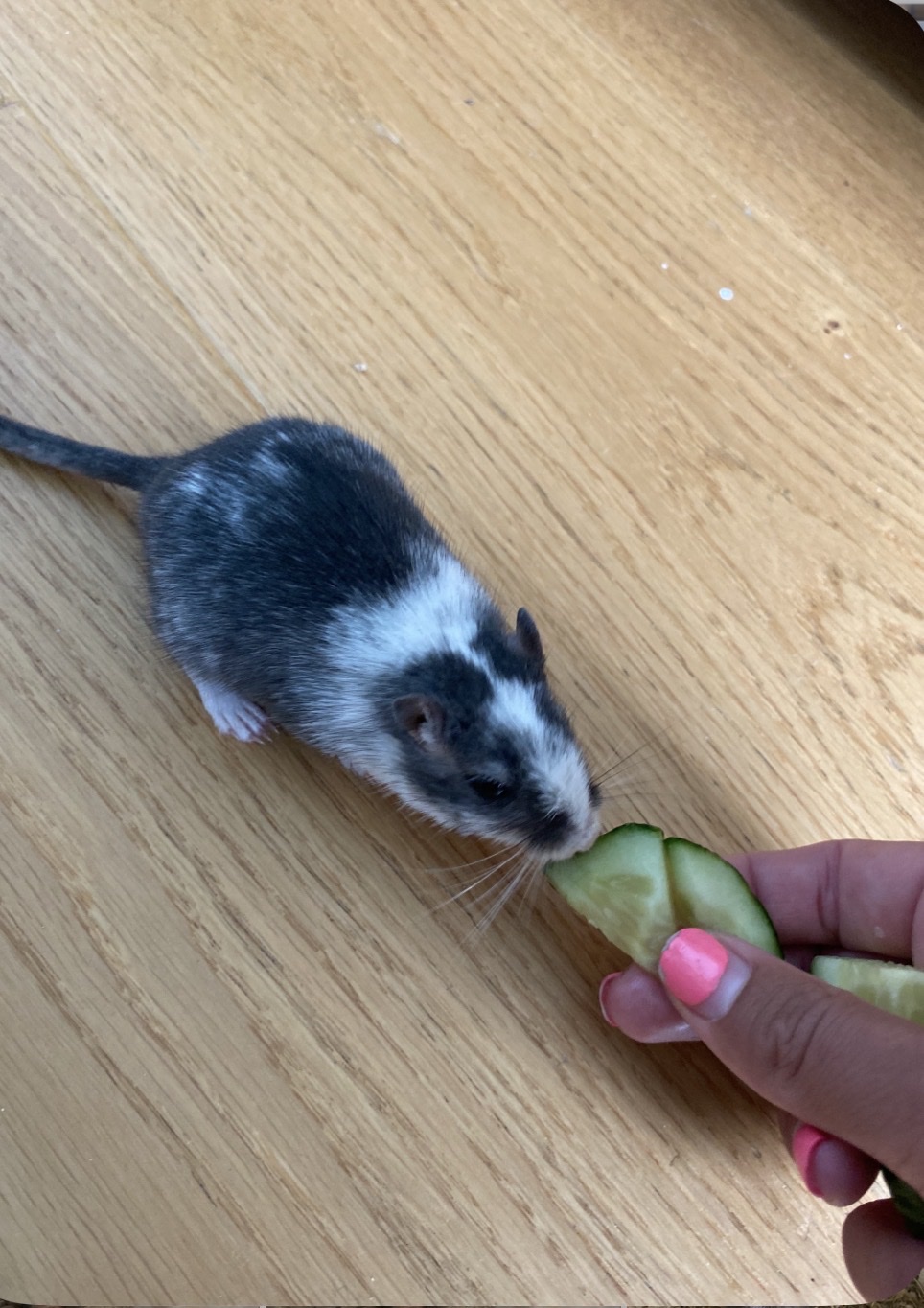 image-25