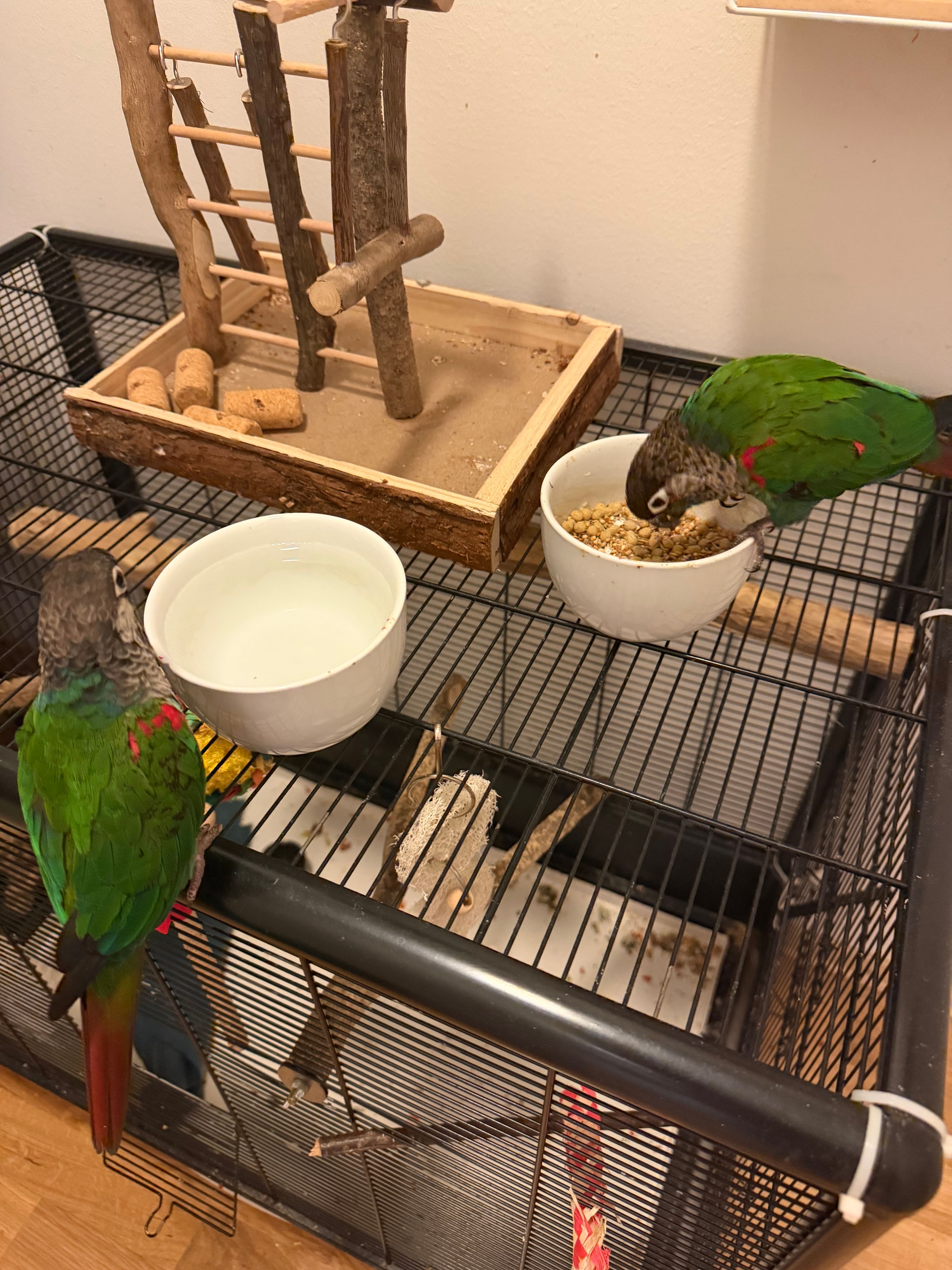 image-22