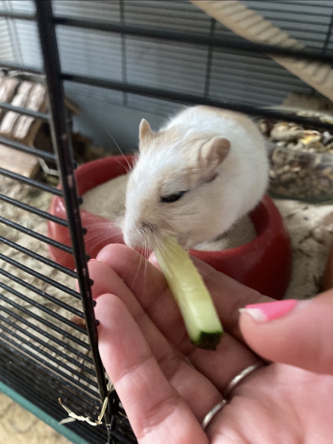 image-27
