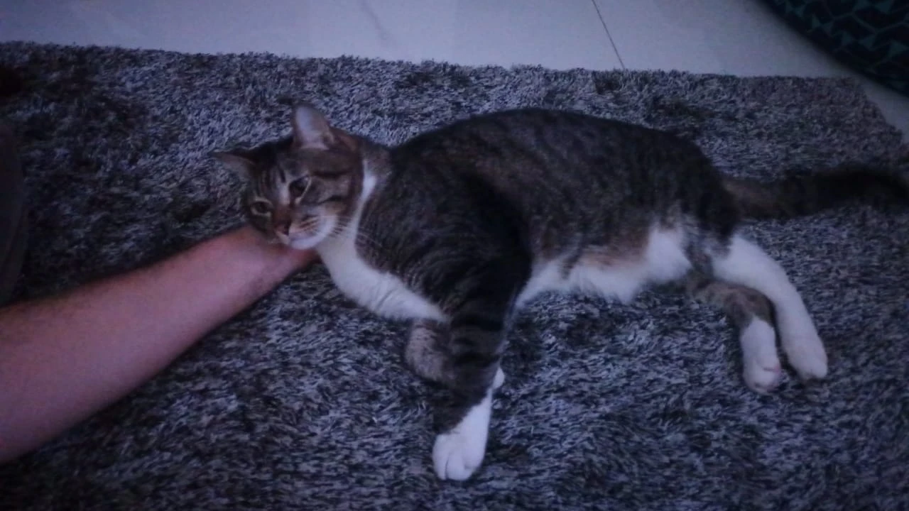 image-8