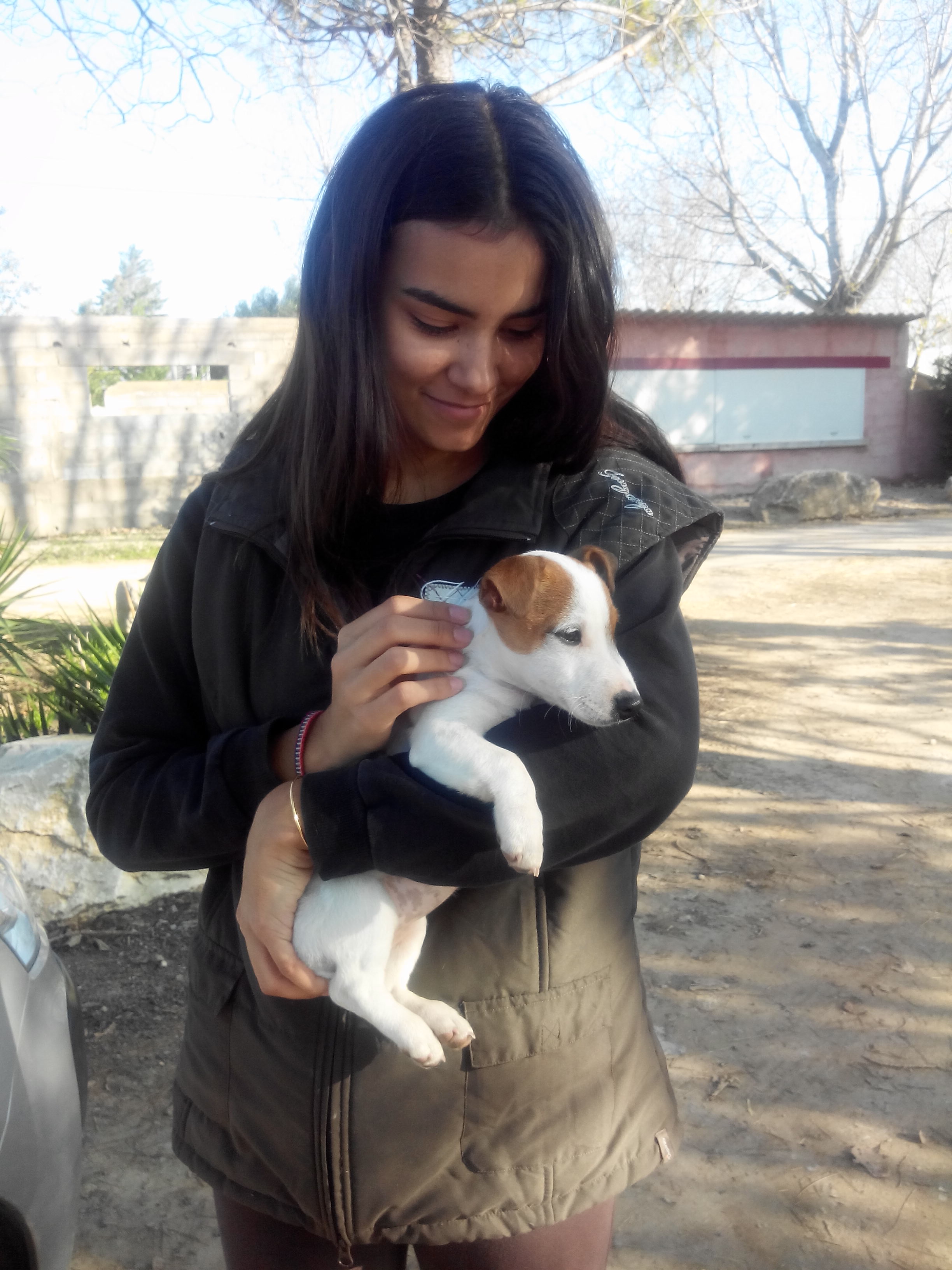 image-9
