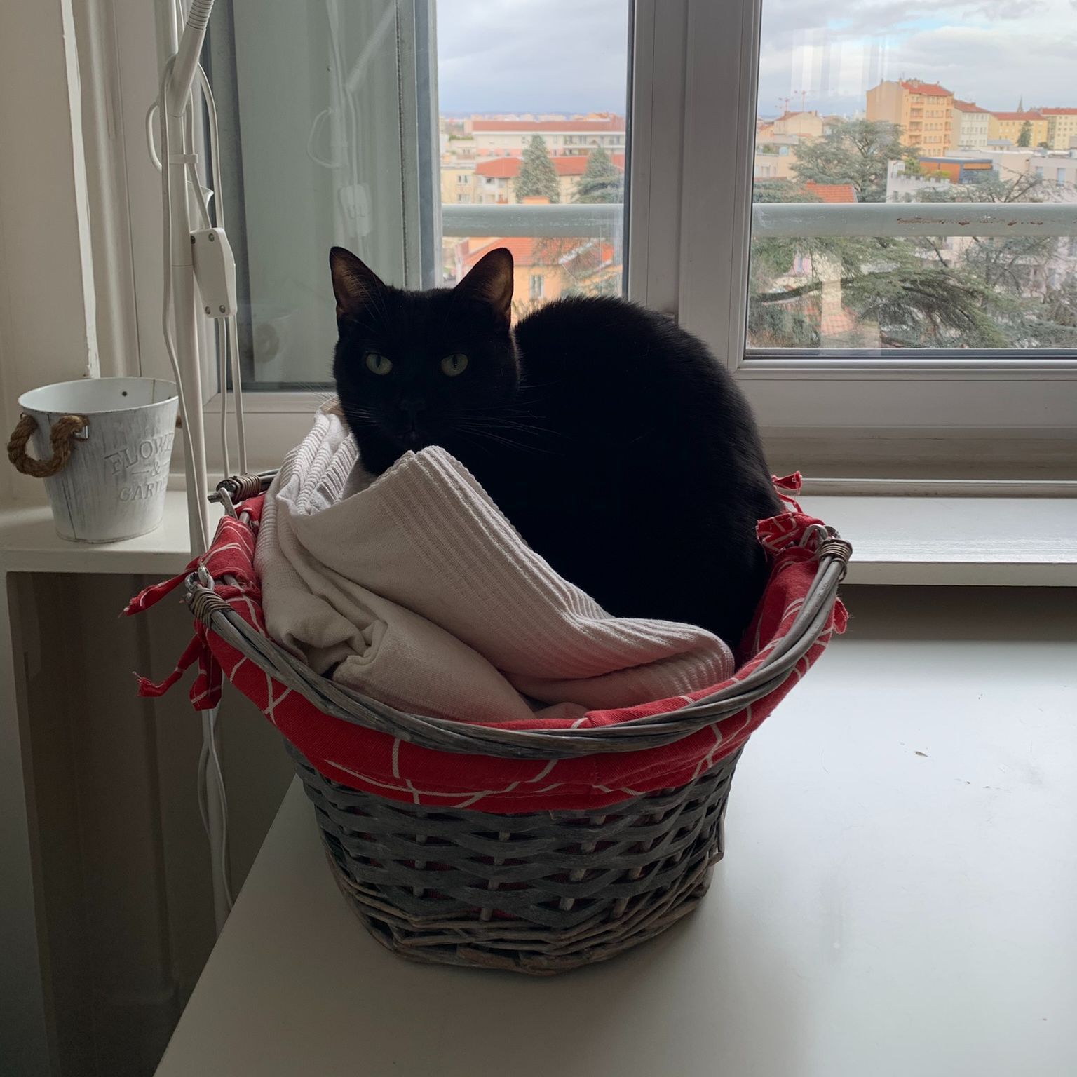 Sappho