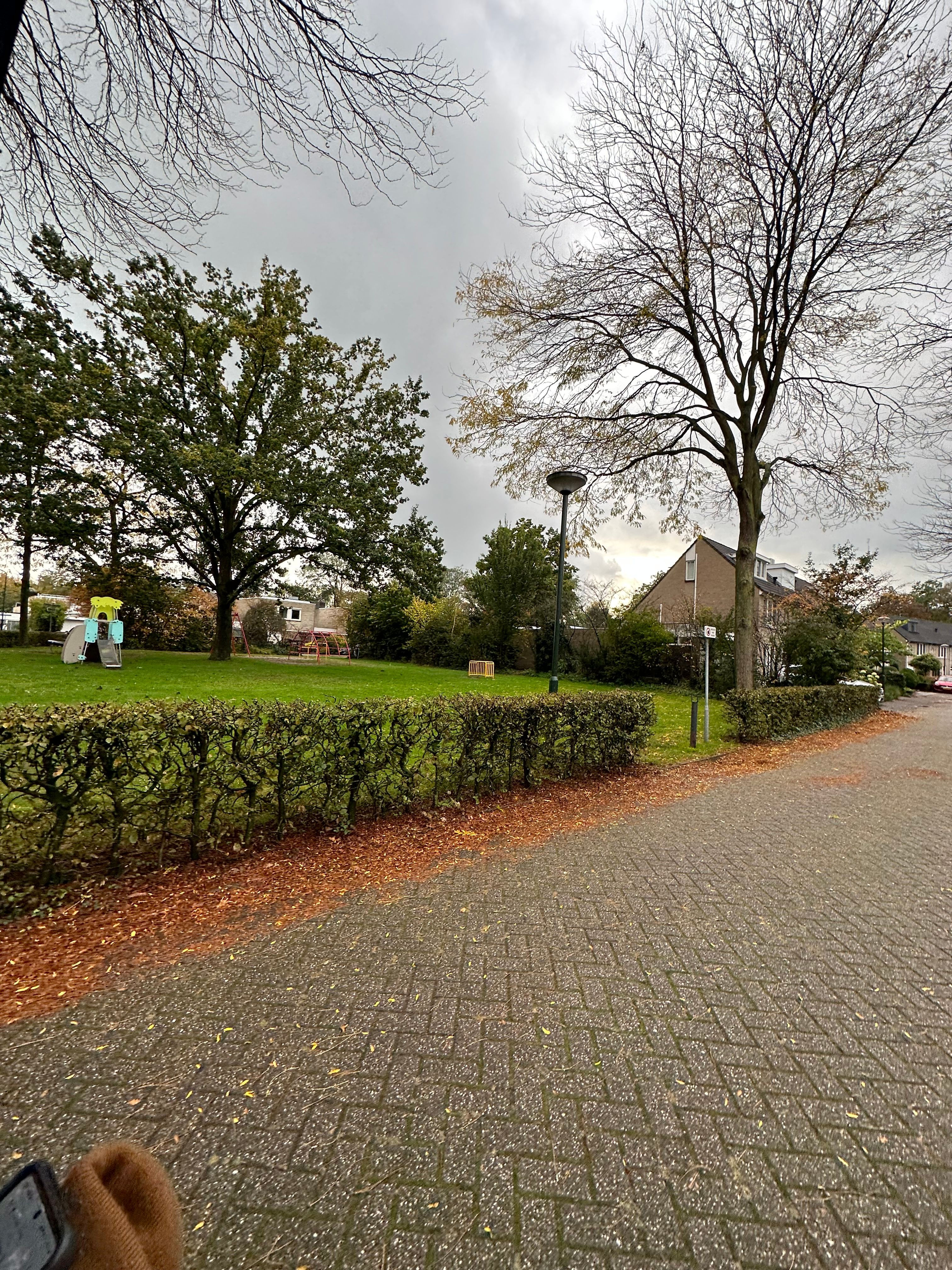 image-12