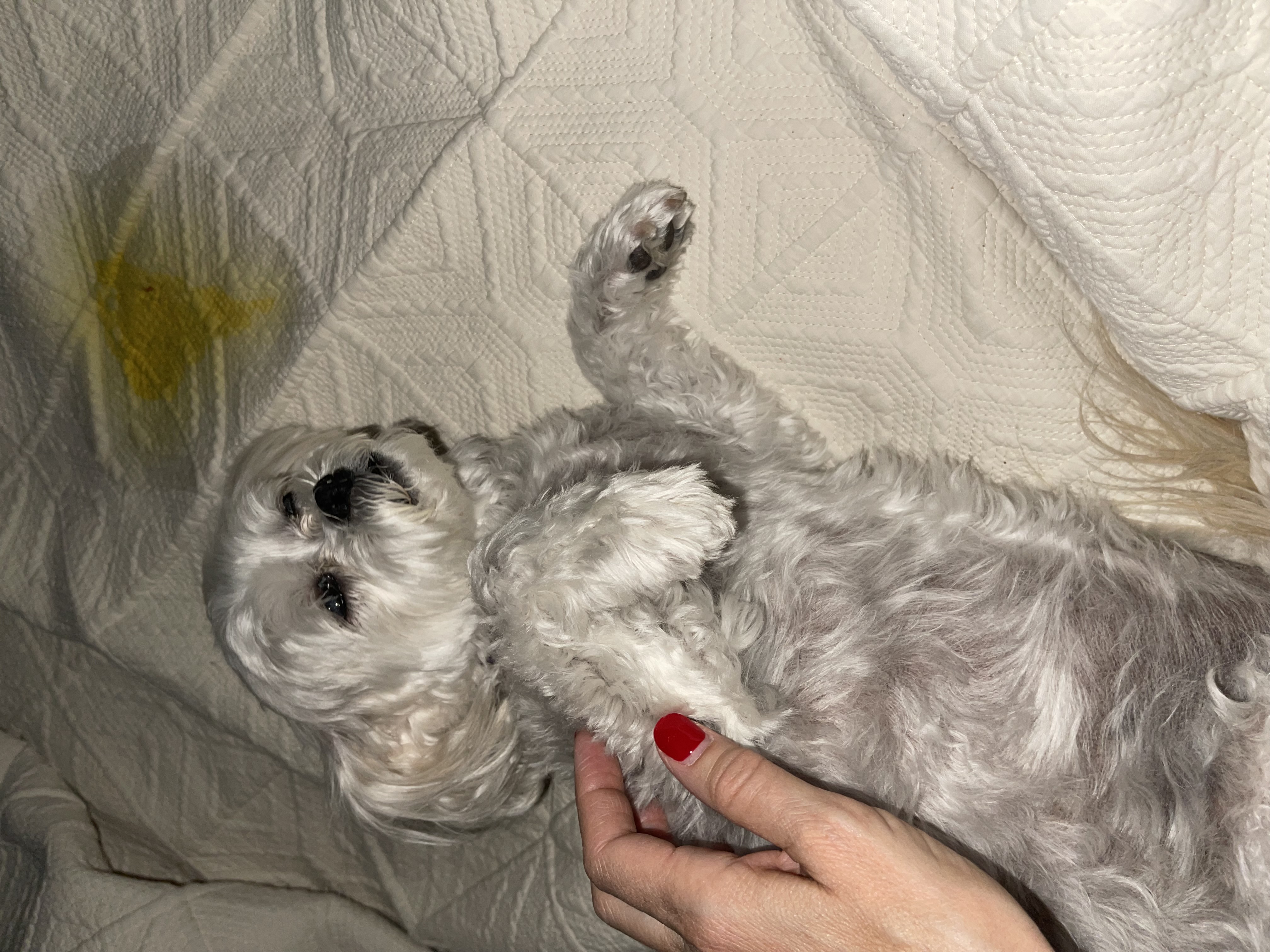 image-11