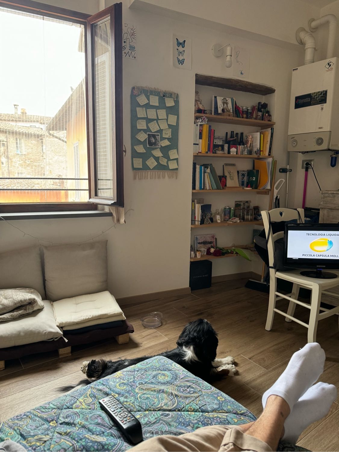 image-12