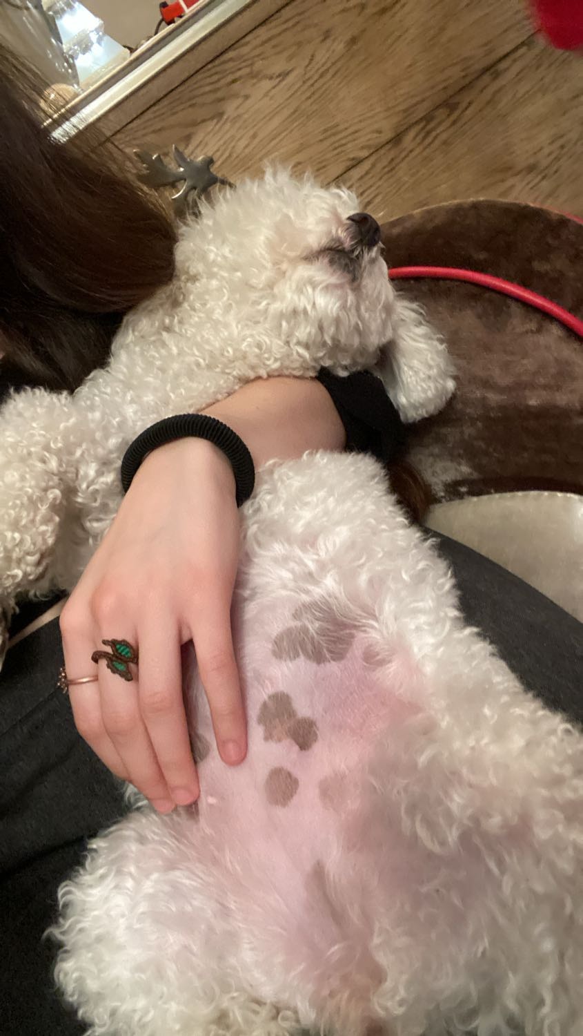 image-8