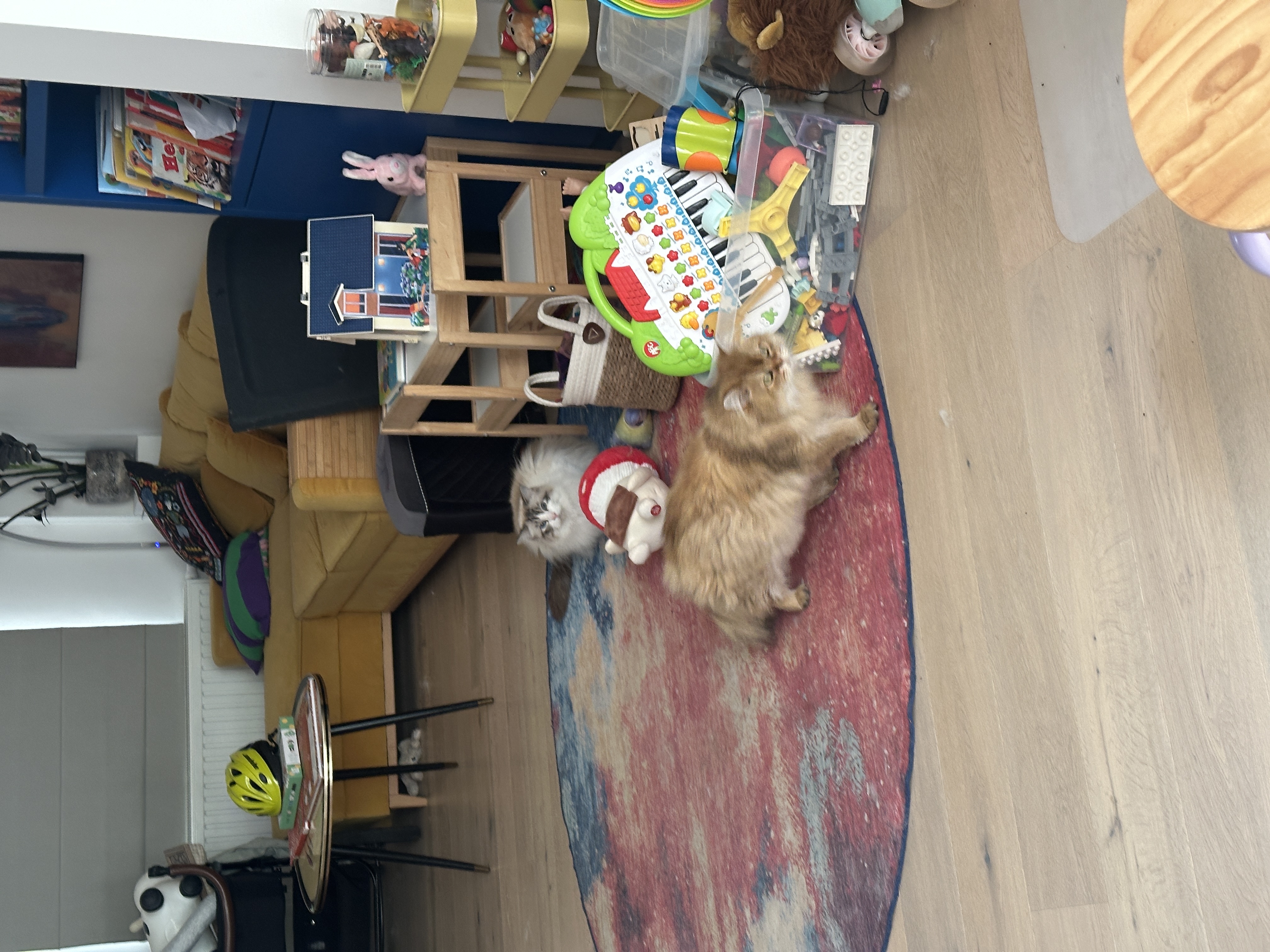 image-9