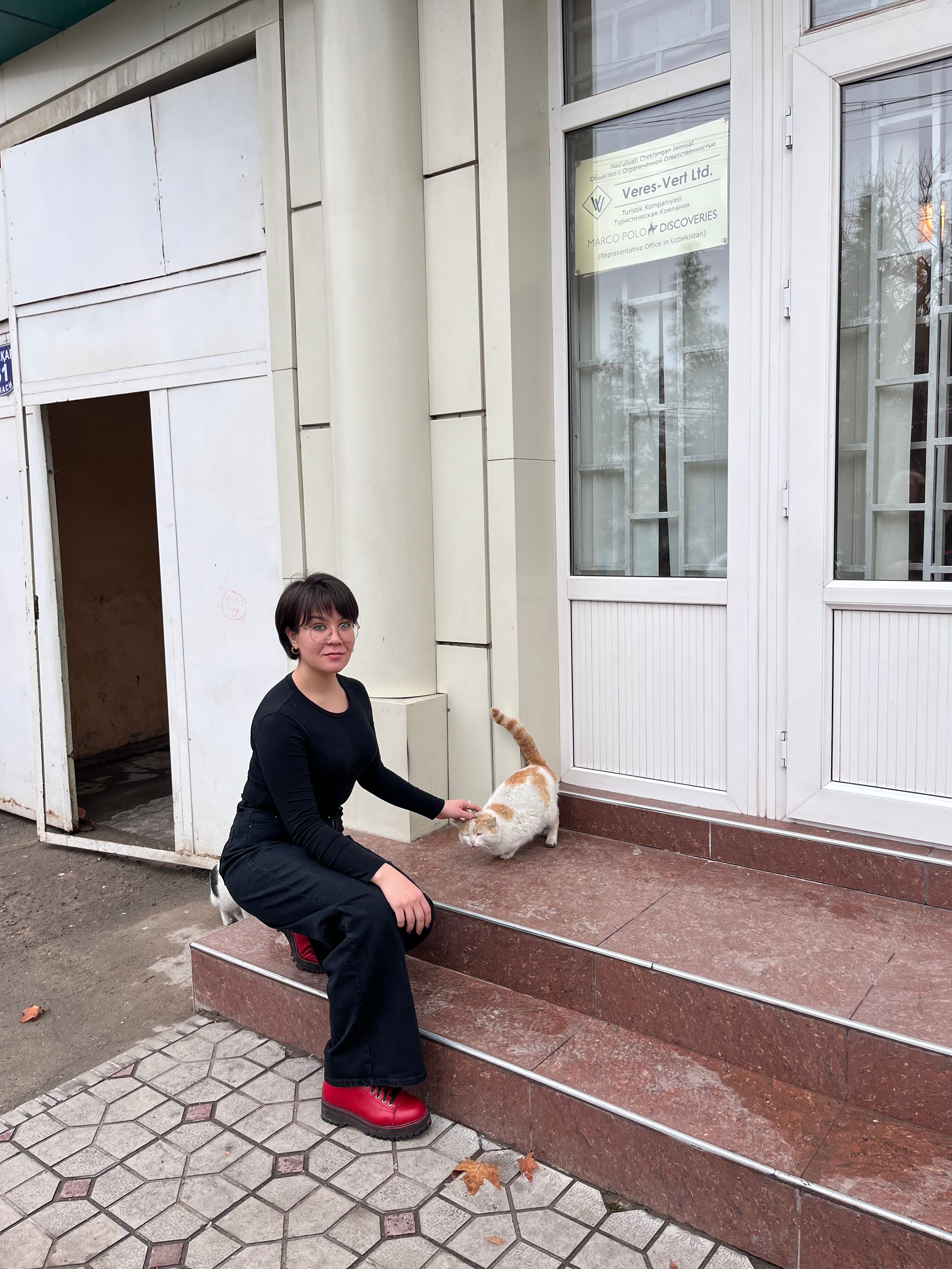 image-7
